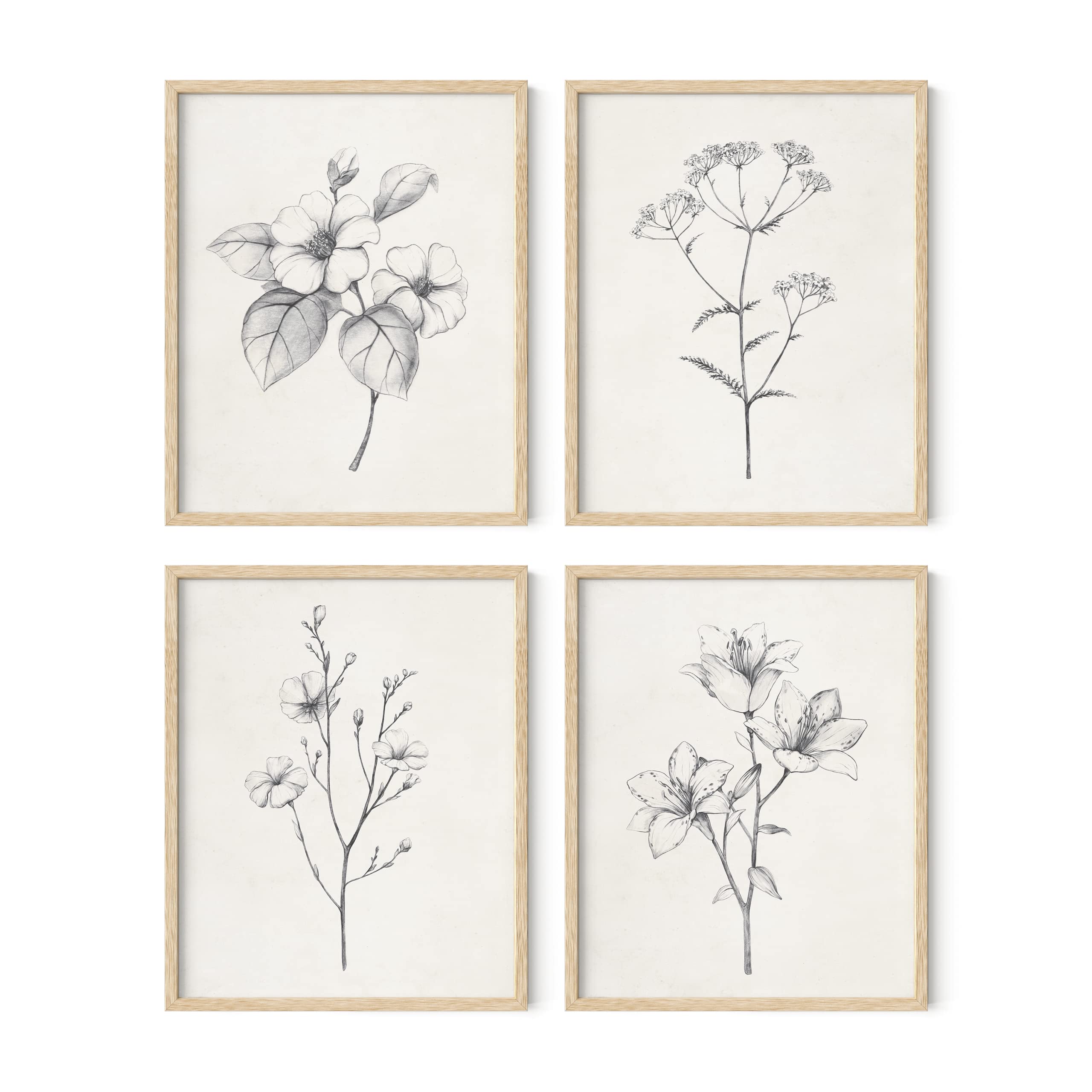 Haus and Hues Grey Floral Wall Art - Set of 4 Plant Posters for Wall Vintage  Botanical Prints  Black and White Flower Pictures for Room Aesthetic  Farmhouse Bathroom  Rustic Art (16x20  Framed Beige)
