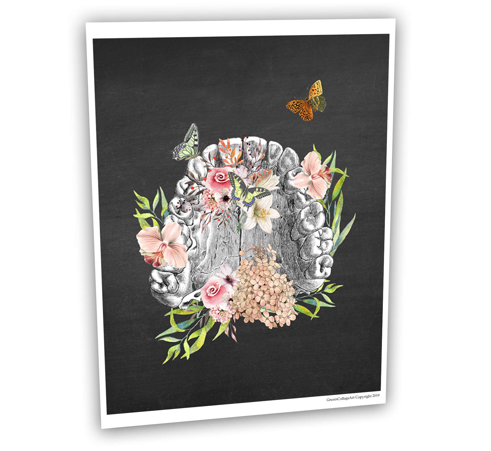 Gnosiscollageart Dental Art Human Teeth Anatomy Flower Butterflies Set Of 2 Unframed Prints