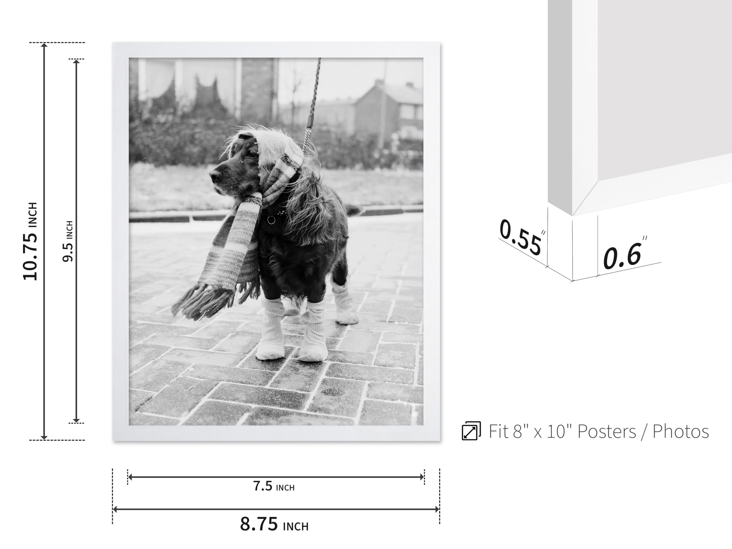 Poster Master Vintage Dog Poster - Retro Dog Dressed for Winter Print - Dog Fashion Art - Photography Art - Funny Gift for Him,