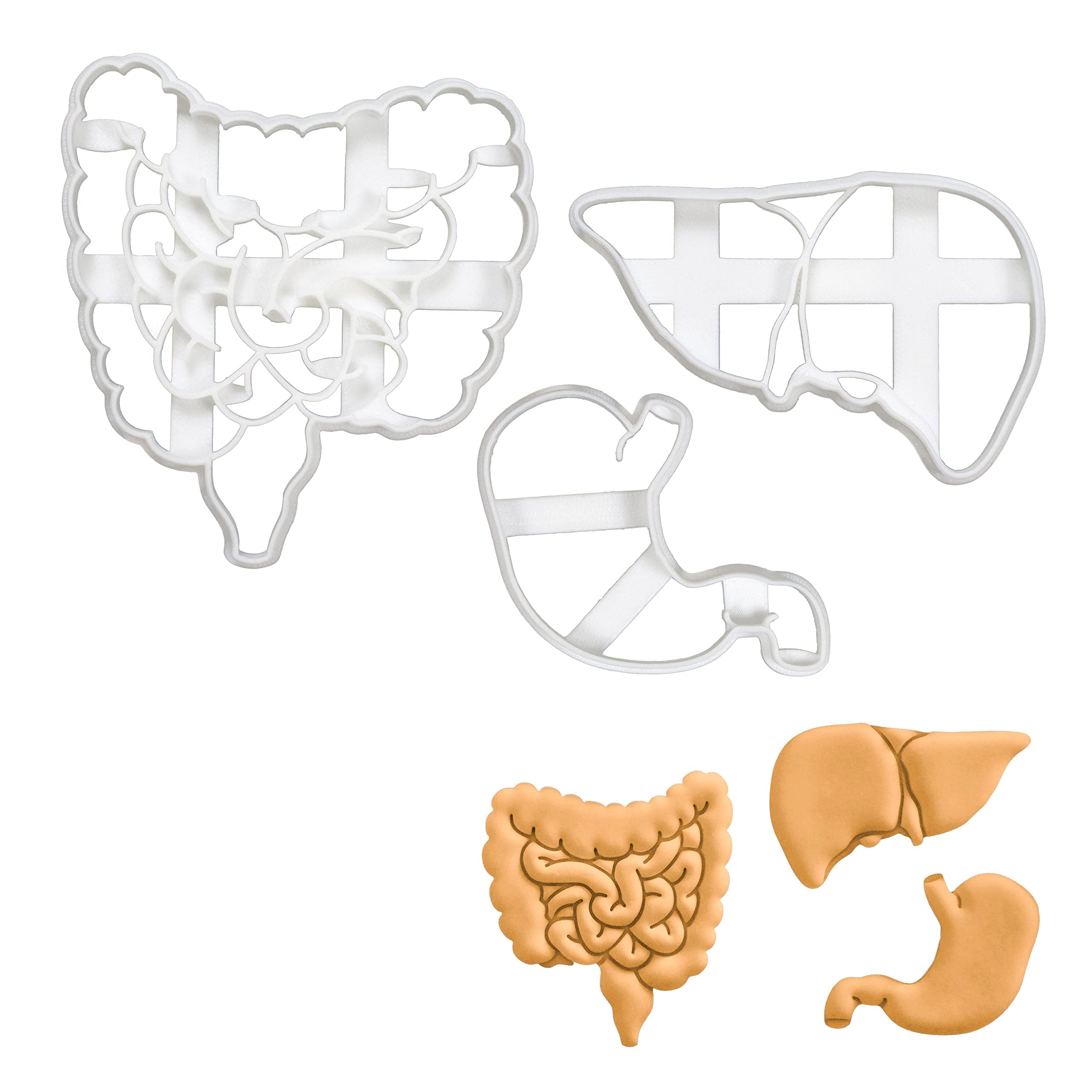Set Of 3 Gastrointestinal Anatomy Cookie Cutters (Designs: Intestines, Liver And Stomach), 3 Pieces - Bakerlogy