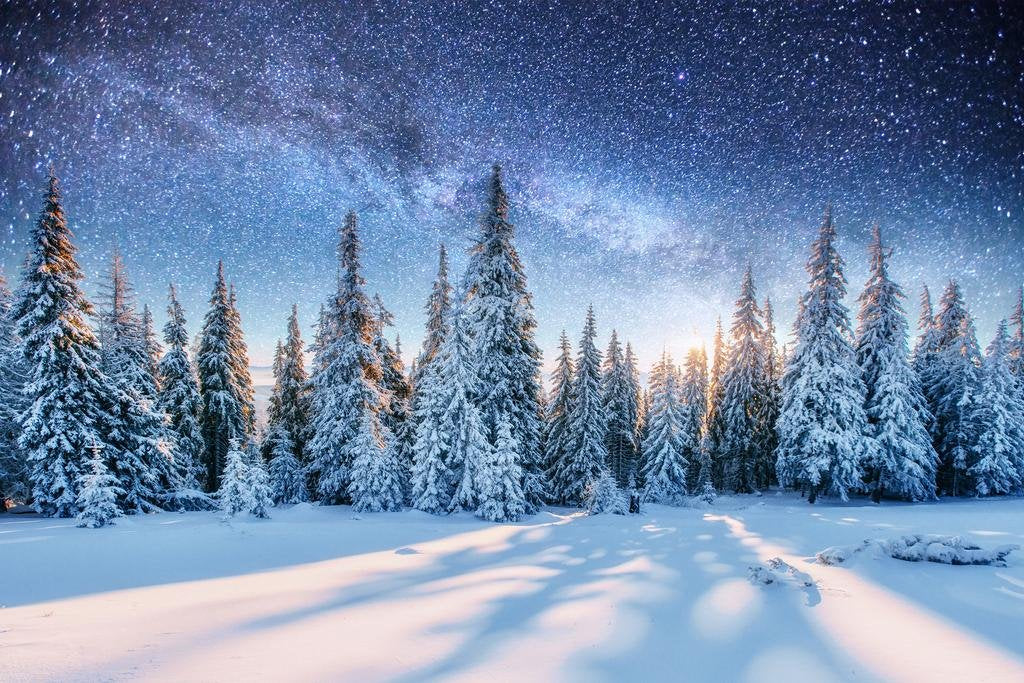 Dairy Star Trek In The Winter Woods Cool Wall Decor Art Print Poster 36X24