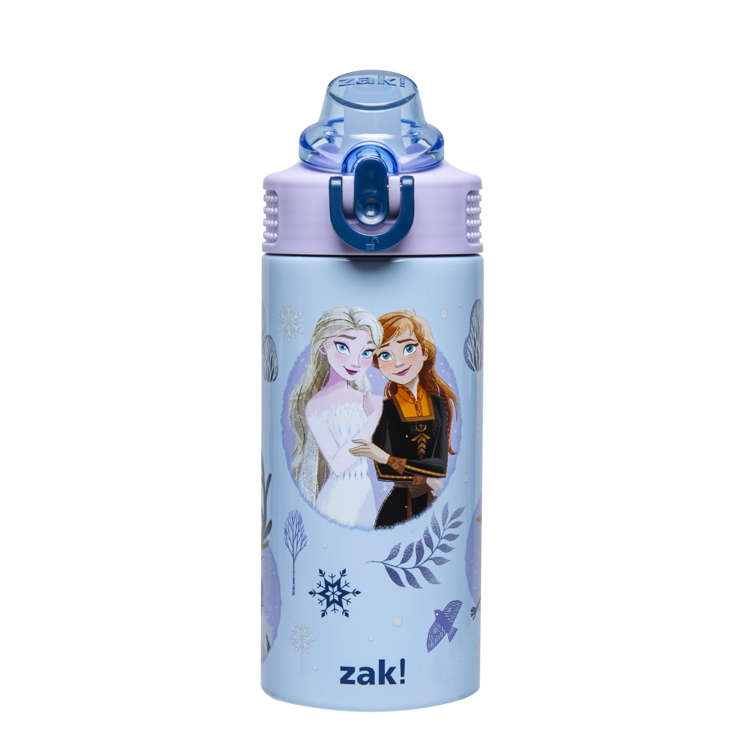Zak Designs Disney Frozen Sage Kids Water Bottle For School or Travel, 14oz Stainless Steel Water Bottle With Straw, Handle, and