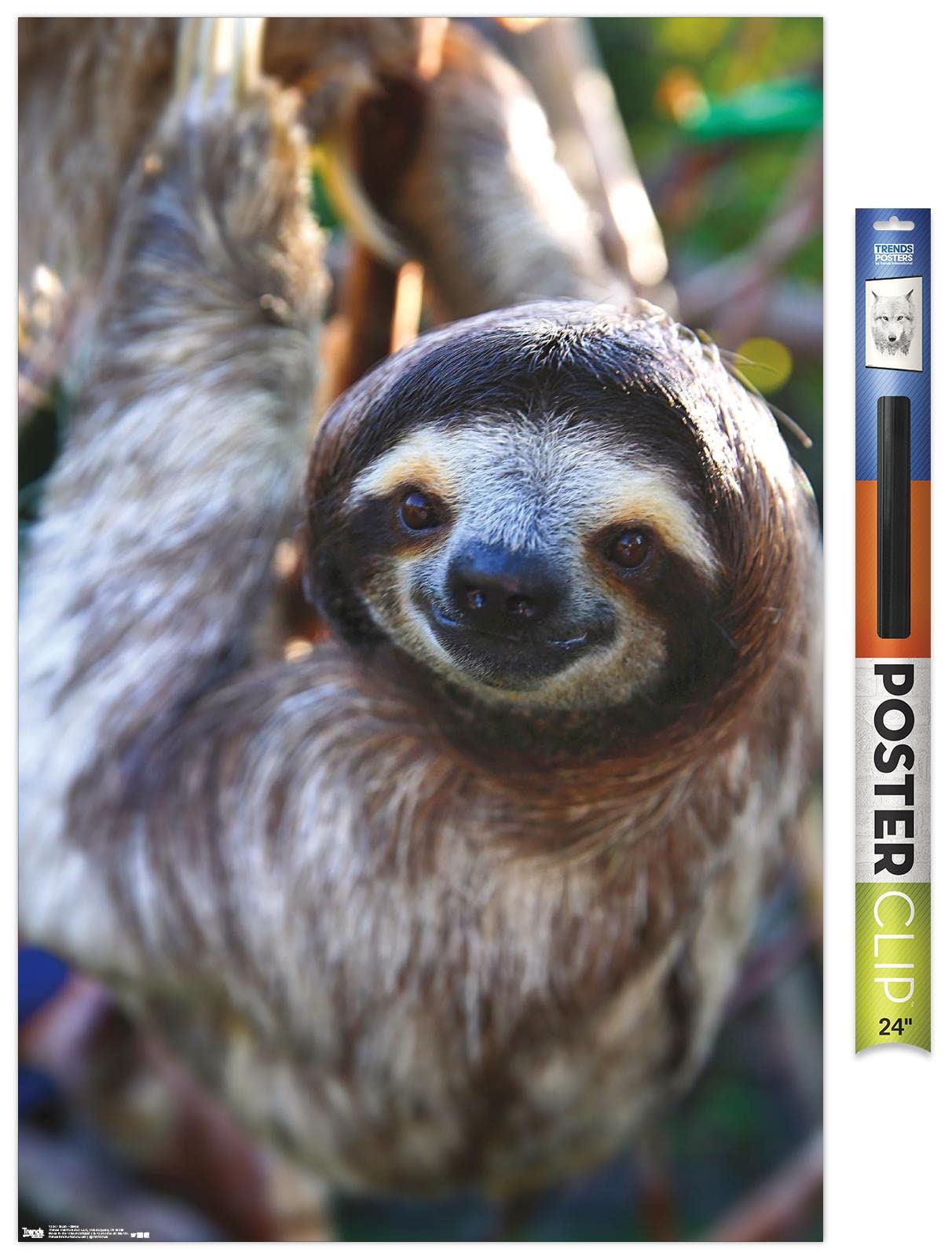 Trends International Sloth - Smile Wall Poster, 22.375'' X 34'', Premium Poster & Clip Bundle