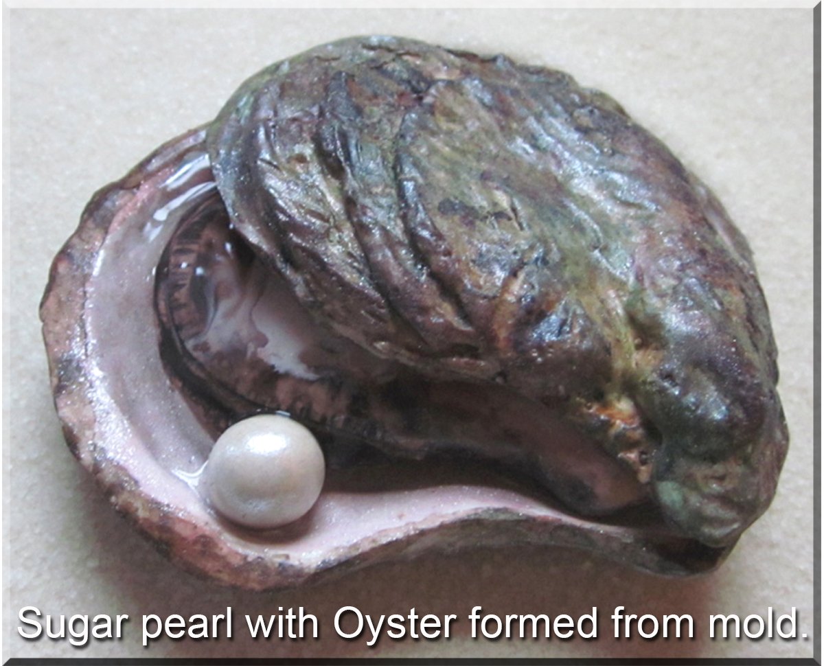 Scott Clark Woolley Oyster Shell Mold