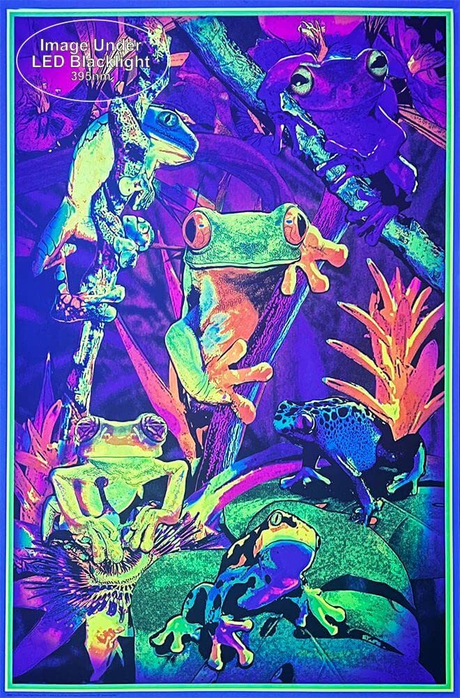 Studio B Tree Frogs - Non-Flocked Blacklight Poster 24 X 36 24 X 36 Paper