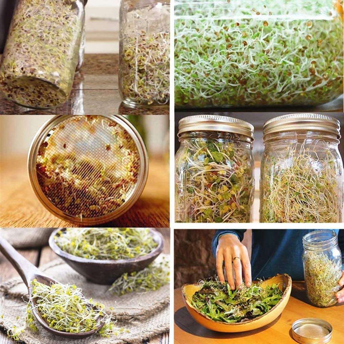 MIA GENOVIA Mesh Sprouting Lids - 316 Stainless Steel Wide Mouth Mason Jar Strainer - 4 Pack, 3.4" Size