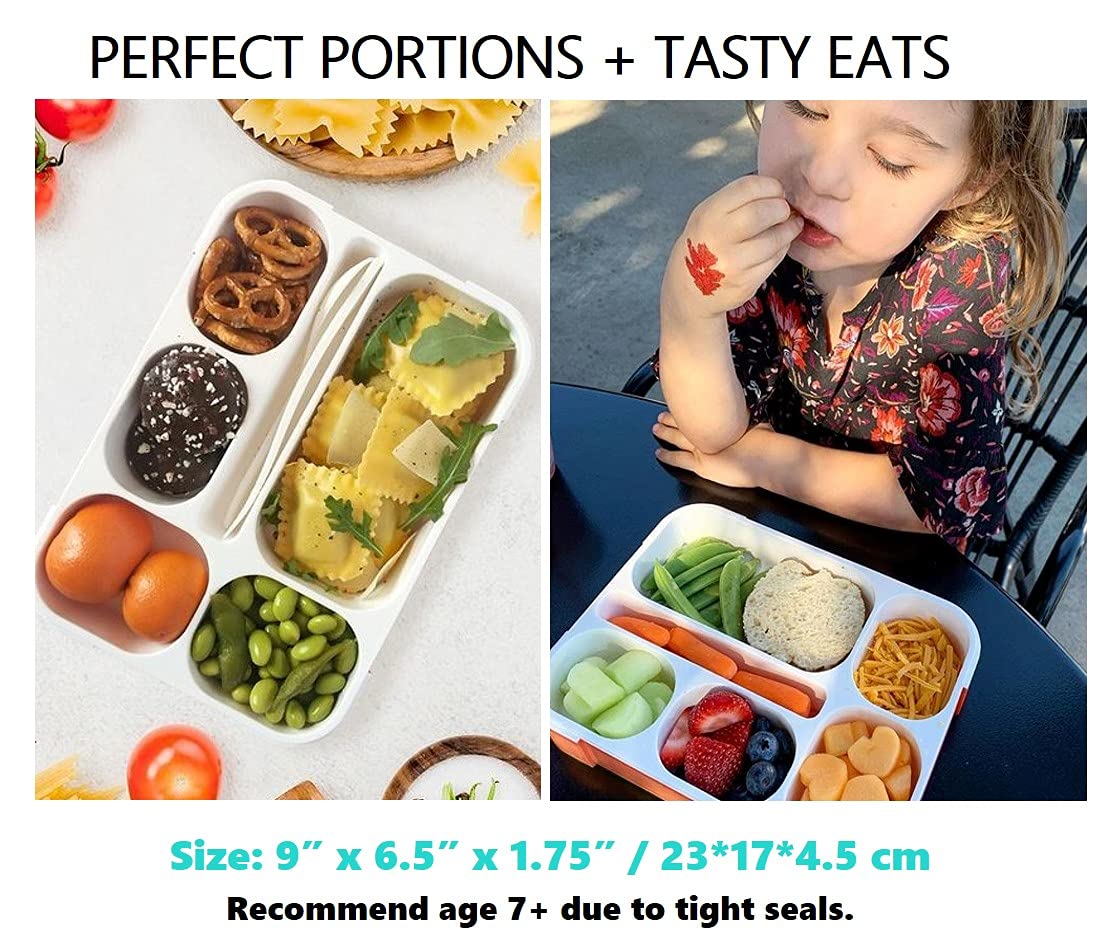 Bento Lunch Box for Kids  Boys  Girls  Adults | 6 Compartment Lunch-Boxes | Leakproof School Snack or Meal Portion Container | BPA-Free Orange?