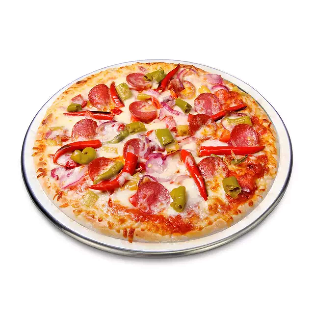 Zenshop Diameter 10 Inch Pure Aluminium Pizza Screen. (Set Of 4 Piece)
