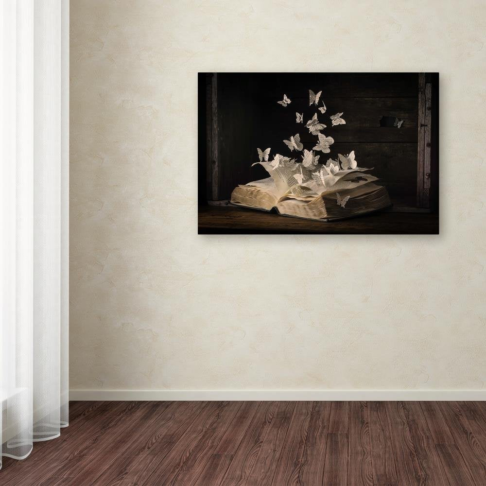 Lepidopterology By Heather Bonadio, 22X32-Inch Canvas Wall Art