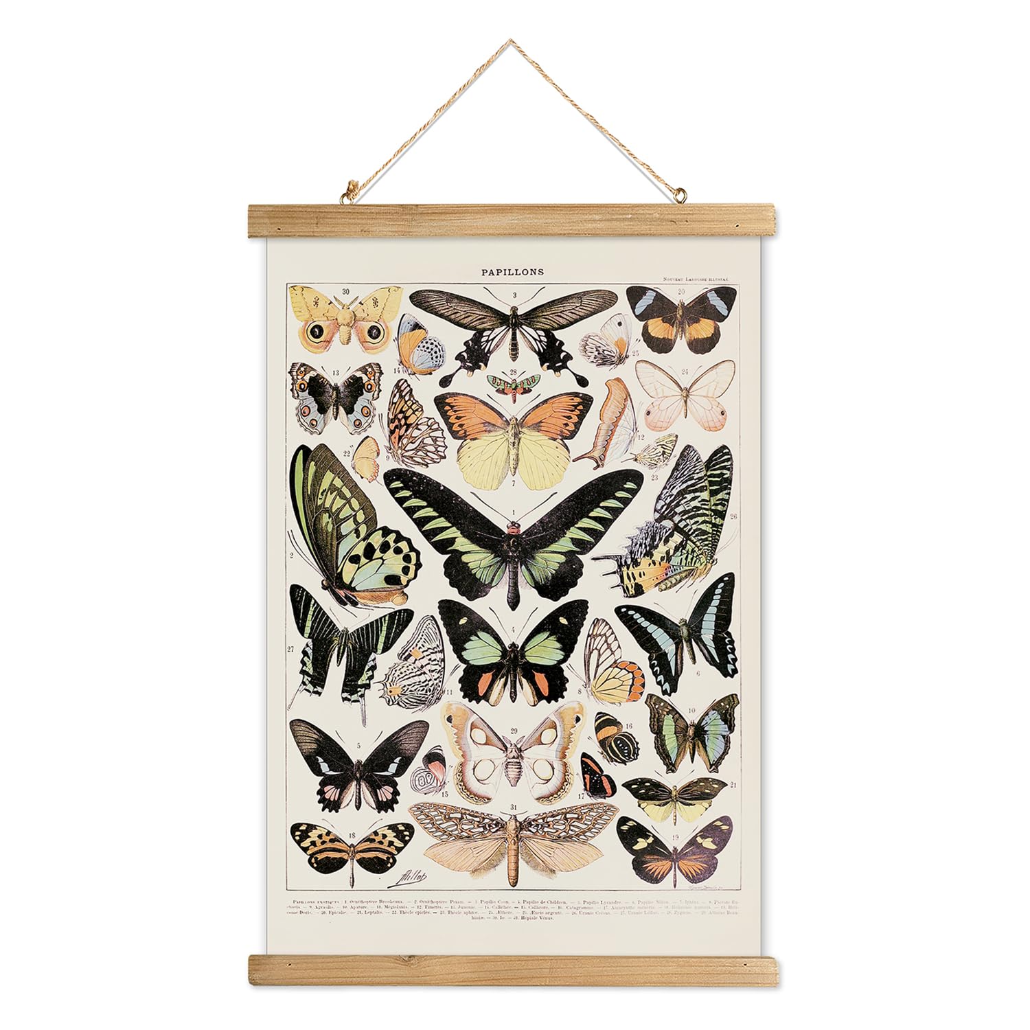 Xiaoaika Vintage Butterfly Hanging Poster With Wooden Frame, Retro Style Wall Decor Art Painting, Patterns Printed On Linen With