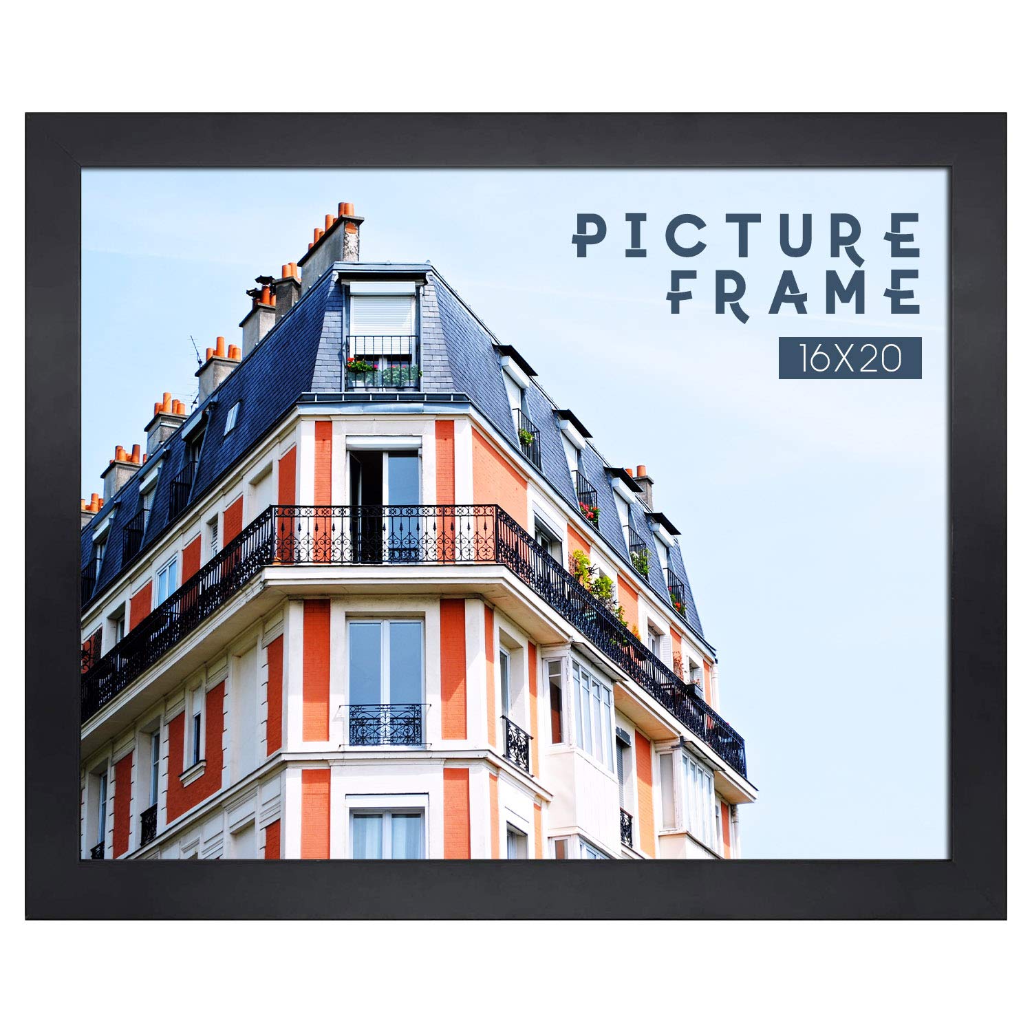 Golden State Art, Black Picture Frame-Display Picture 16x20 Without Mat - Solid Wood and Tempered Glass (Wall Display)