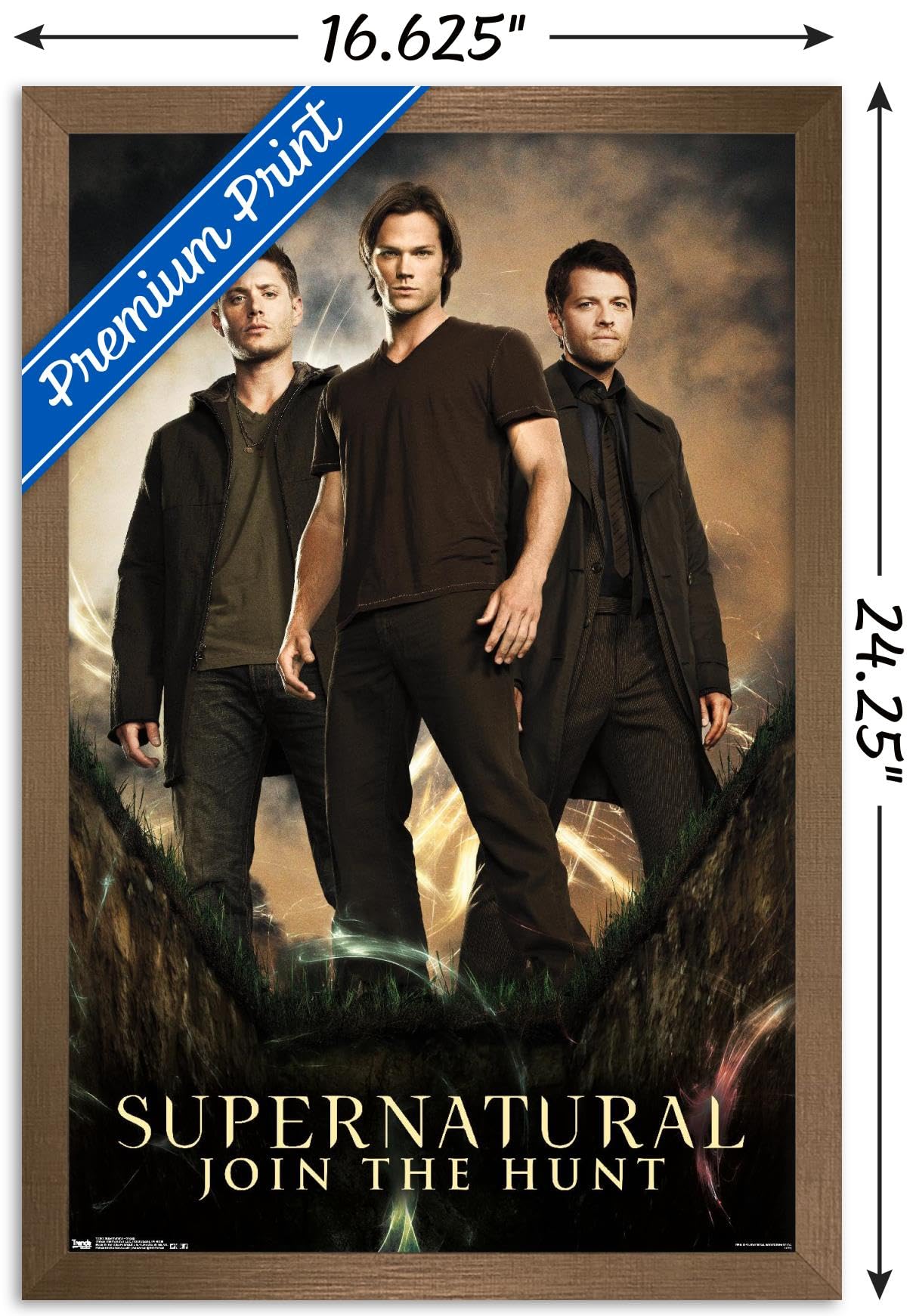 Trends International Supernatural - Group Wall Poster, 14.725'' X 22.375'', Bronze Framed Version