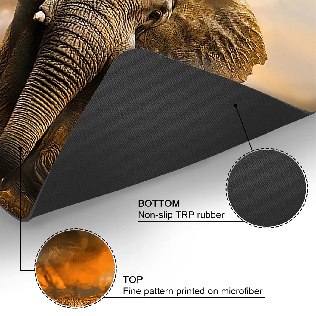 Ohtmtho 17''X24'' Bathroom Rugs Non Slip Washable Bath Mat Small Door Floor Mat Printed With African Elephant Orange