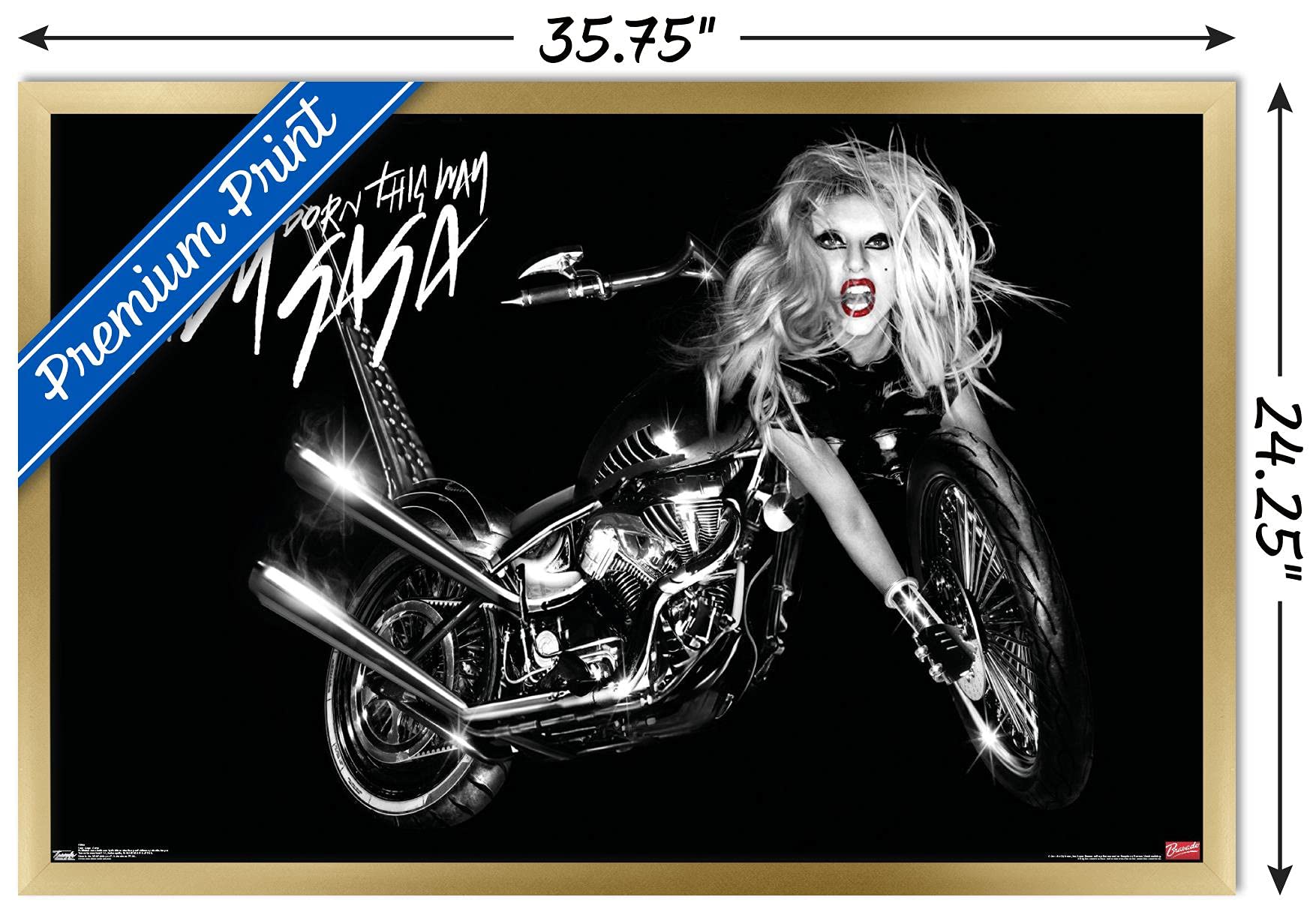 Trends International Lady Gaga - Cover Wall Poster, 22.375'' X 34'', Gold Framed Version