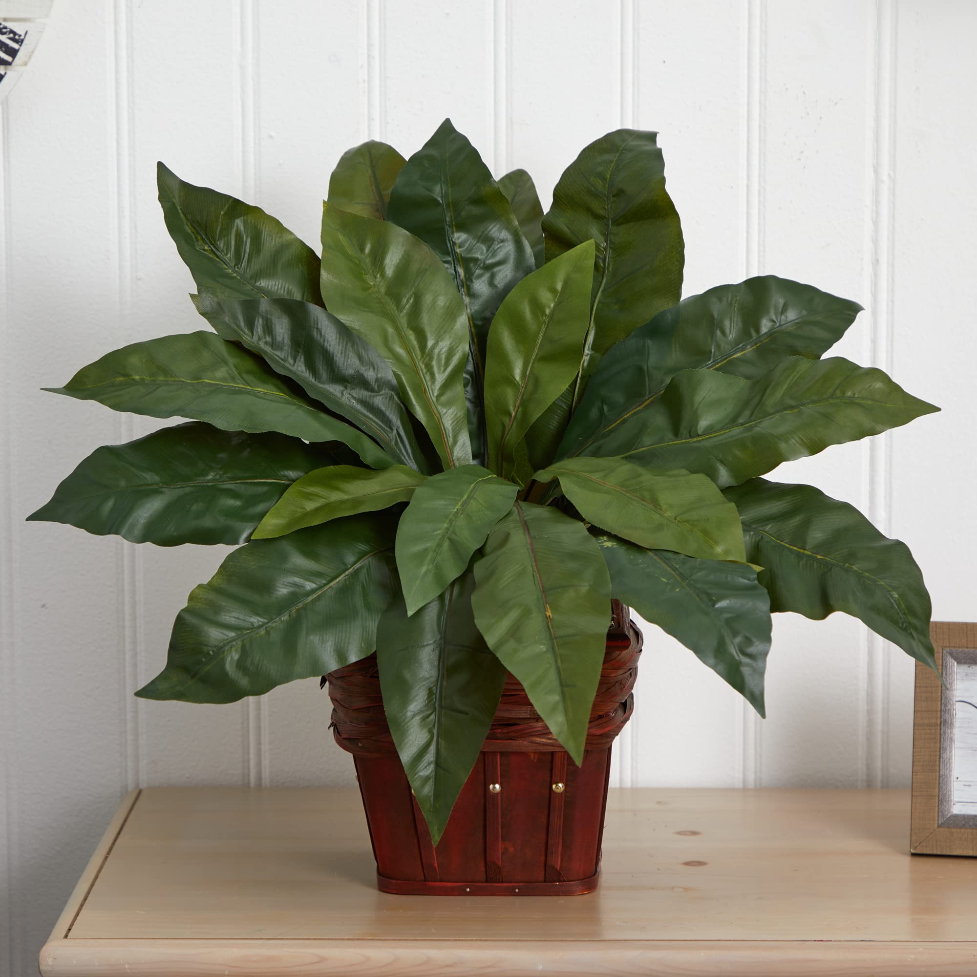 Nearly Natural 6530 Bird Nest Fern With Wicker Basket, Green 25X25X22