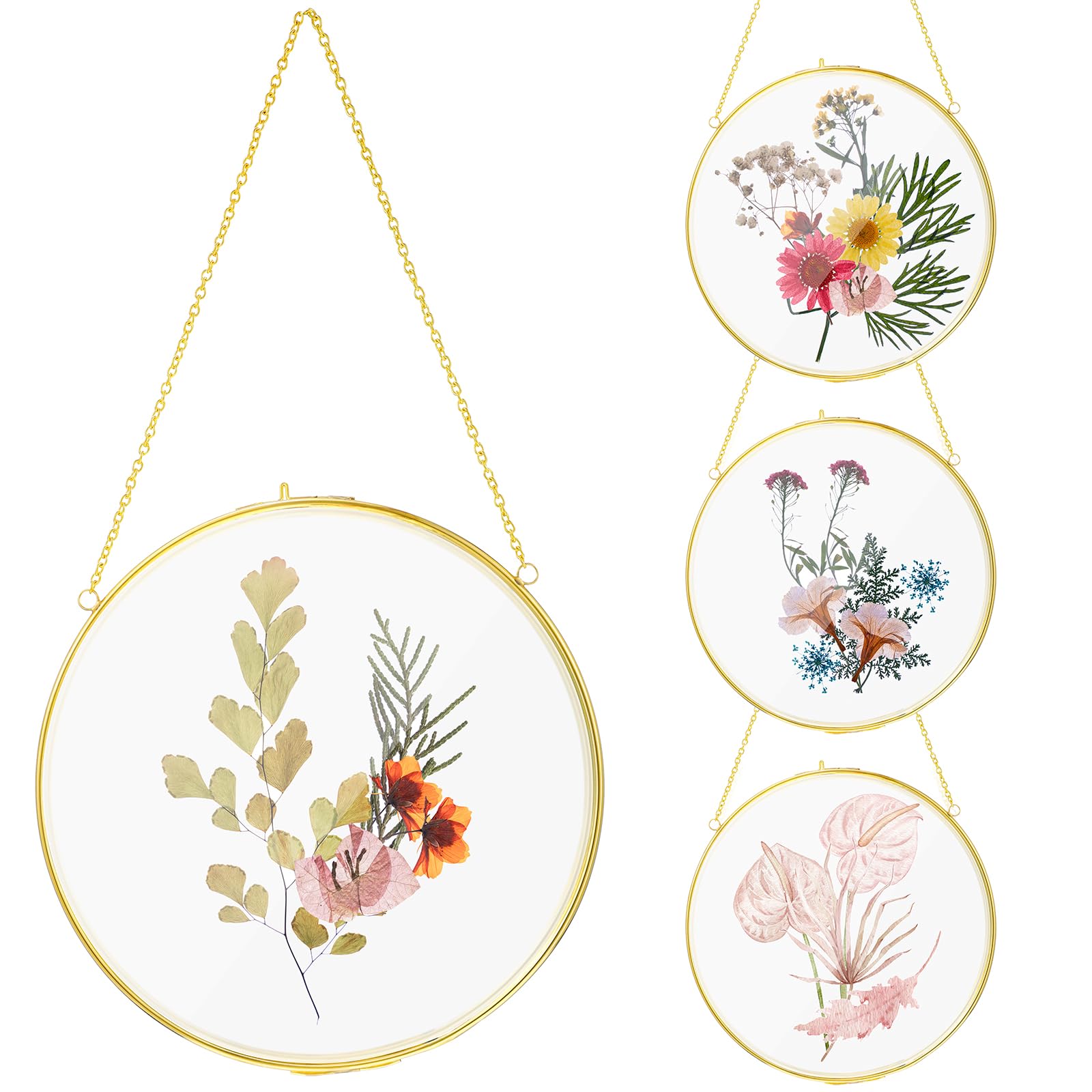Qunclay 4 Pcs Double Glass Frame for Pressed Flowers Round Hanging Herbarium Floating Flower Press Frame Clear DIY Vintage Artwo