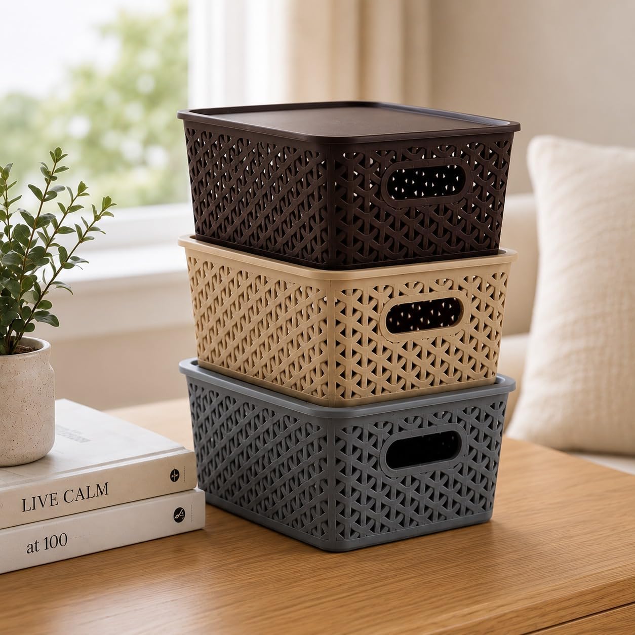 HiruS Polypropylene Pack Of 3 Multipurpose Storage Baskets With Lid For Organizing Home & Office,H1,Storage Box/Tray,Ideal For 