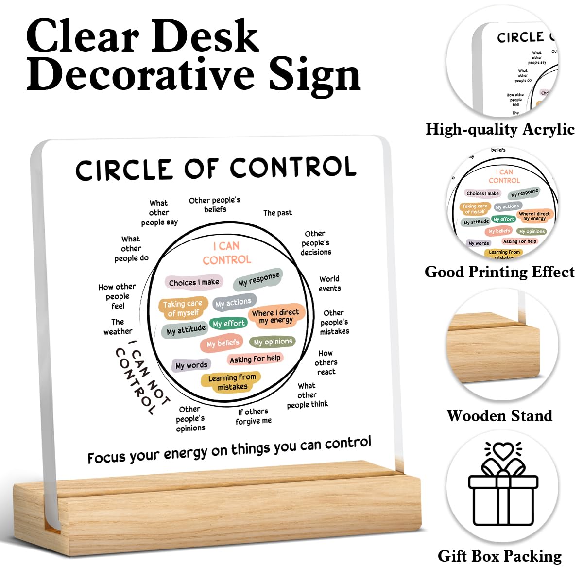 Mental Health Decor, Therapy Office Gifts, Therapy Office Decorations, Therapist Gifts for Women Men, Things I Can Control Acryl