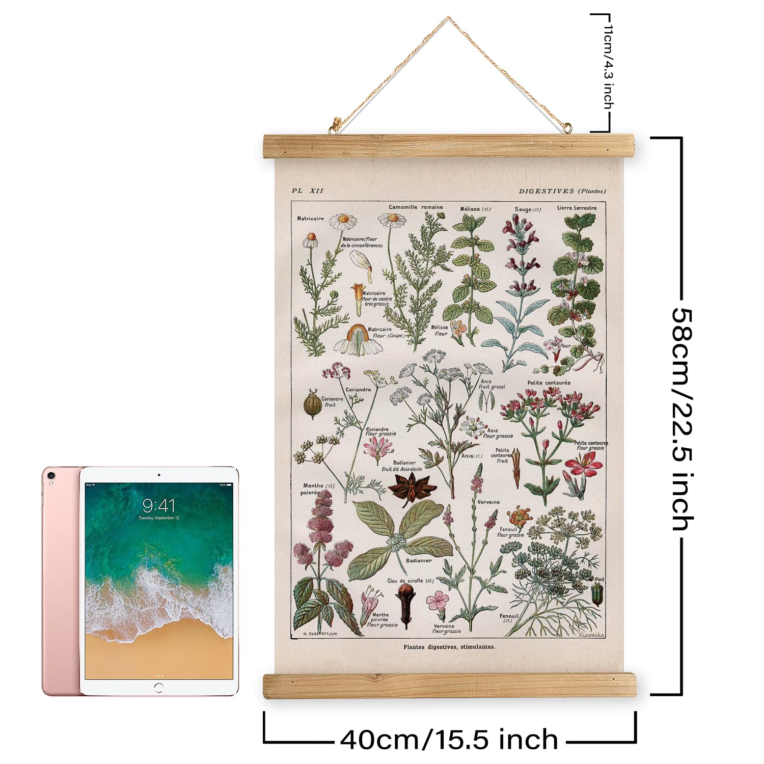 Xiaoaika Vintage Botanical Herbs Illustration Poster - Retro Medicinal Plant Chart With Wooden Frame - Educational Herbal Refere