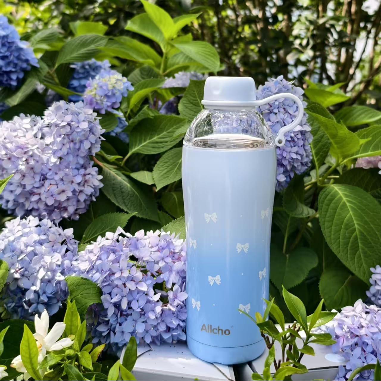 Allcho Bow Insulated Water Bottle for Women, 18 oz Stainless Steel Water Bottles, Double Walled, 2 Lids (Chug & Tumbler) - Hydra