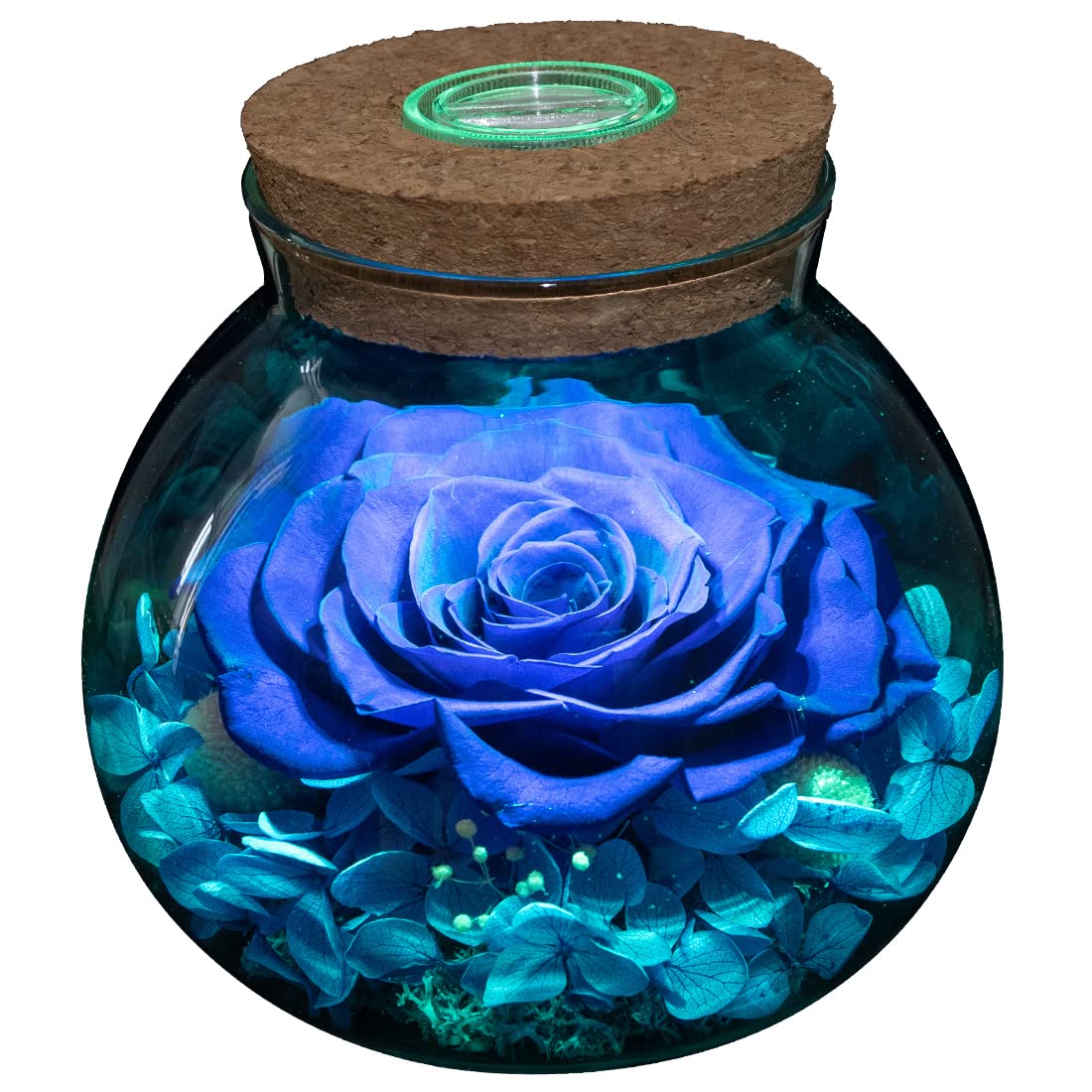roliys Preserved Real Roses with Colorful Mood Light Wishing Bottle, Eternal Rose,Never Withered Flowers, Table Decor,Christmas 