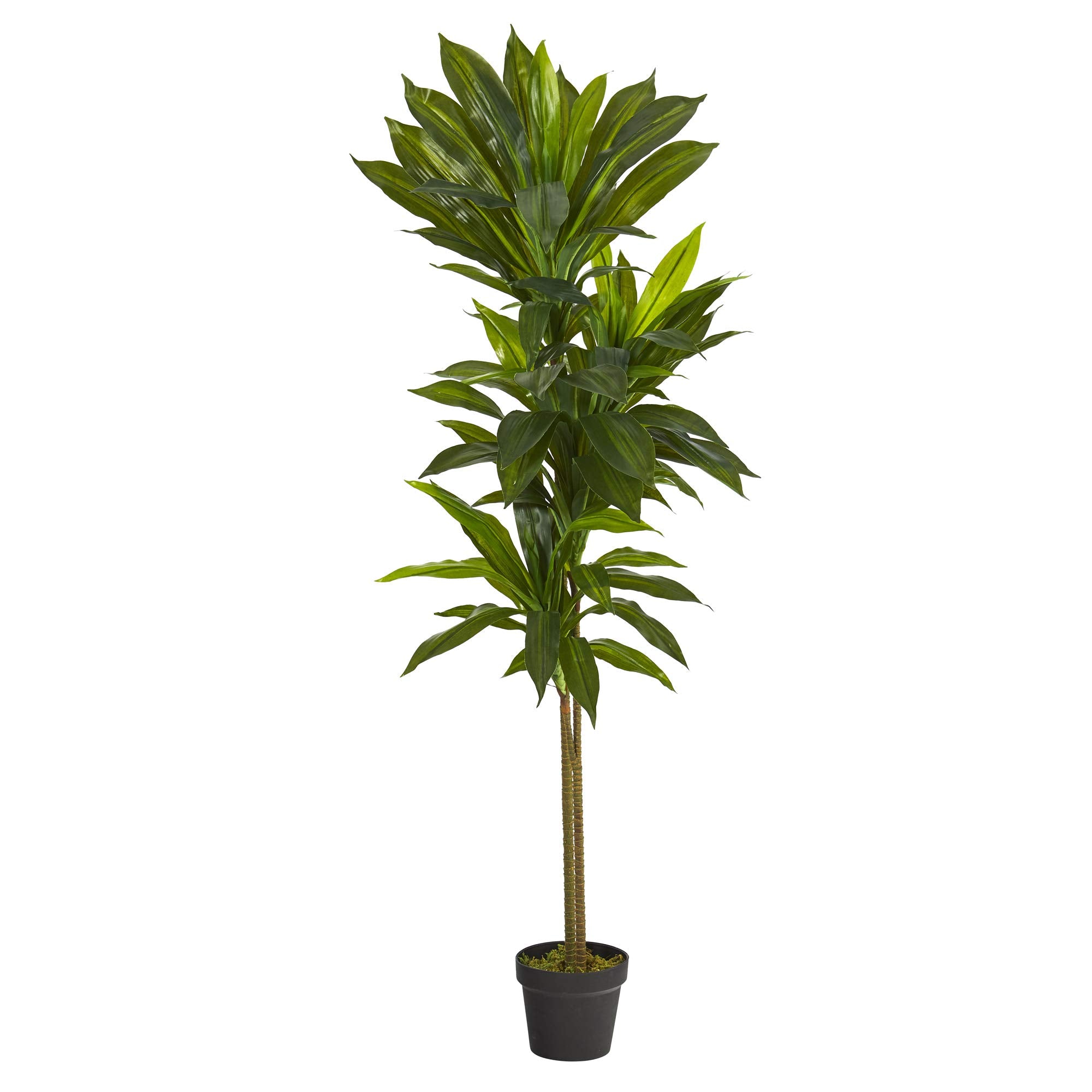 Nearly Natural 56in. Dracaena Artificial Plant (Real Touch)