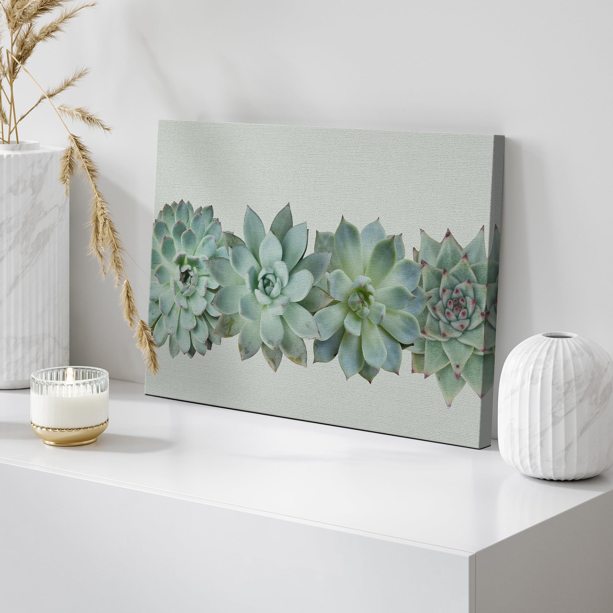 Wall26 Canvas Print Wall Art Variety Of Green Desert Succulents Floral Plants Photography Realism Rustic Closeup Colorful Multic