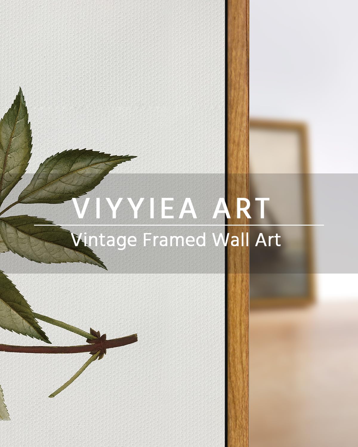 Viyyiea Framed Vintage Botanical Wall Art Prints Sambucus Racemosa Plant Canvas Wall Art Painting Prints Rustic Farmhouse Wall D