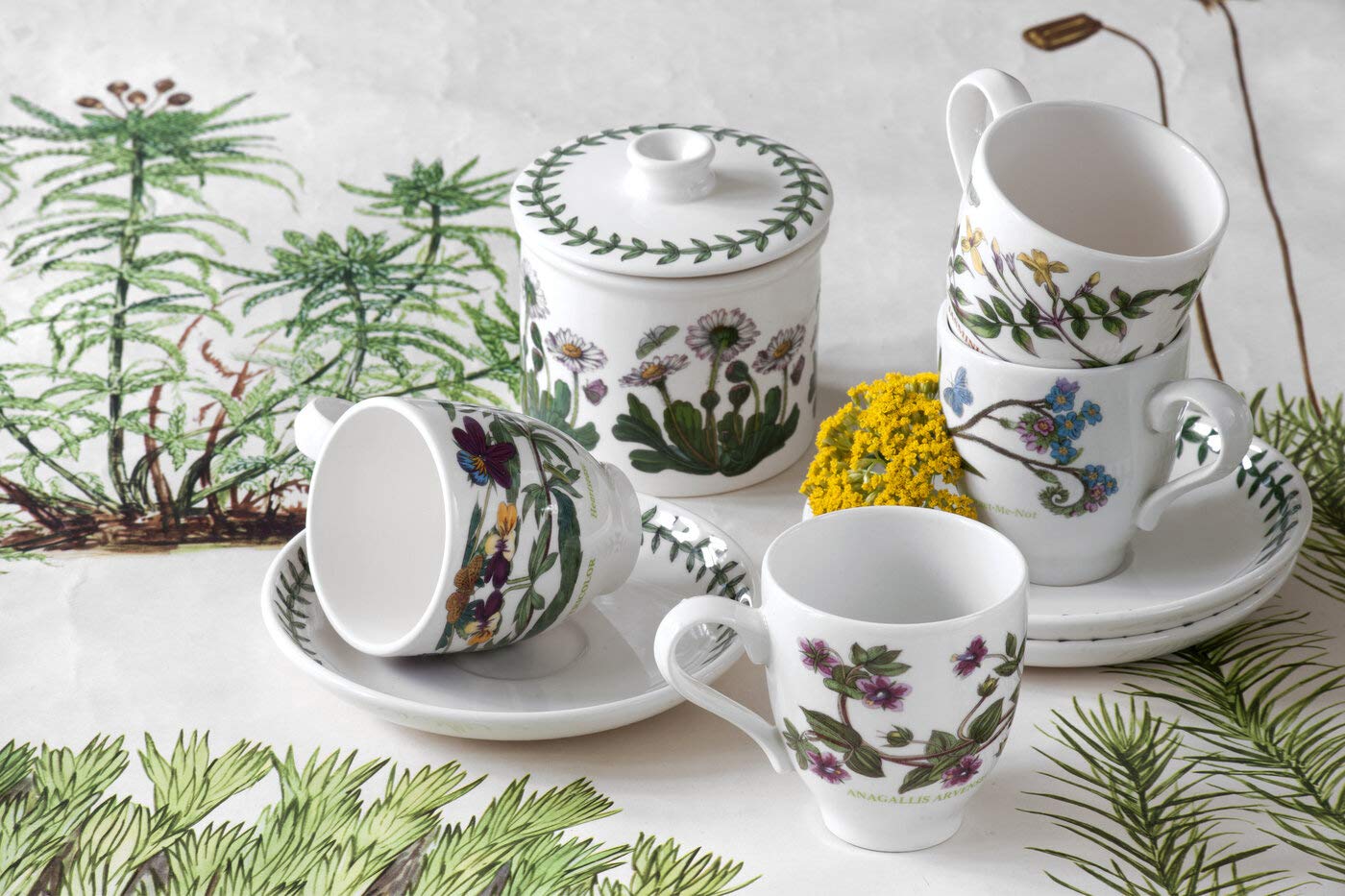 Portmeirion Botanic Garden 7Oz Drum-Shaped Covered Sugar Bowl | Daisy Motif | Fine Earthenware | Chip-Resistant Glaze | Dishwash