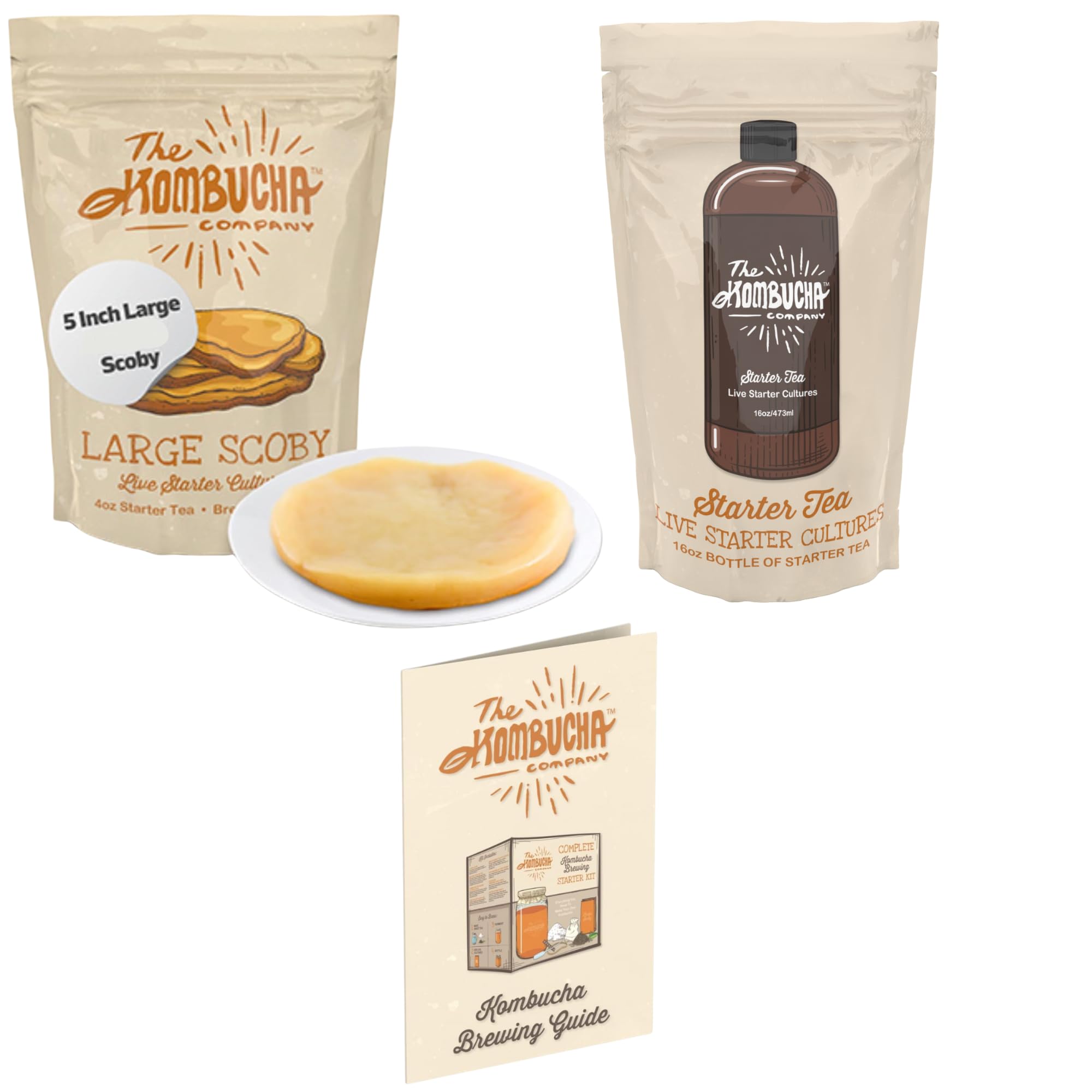 The Kombucha Company Large Kombucha Scoby & 16oz Bottle of Starter Tea l Makes One Gallon  Brew Organic Kombucha from Home  Made From Purified Rainwater