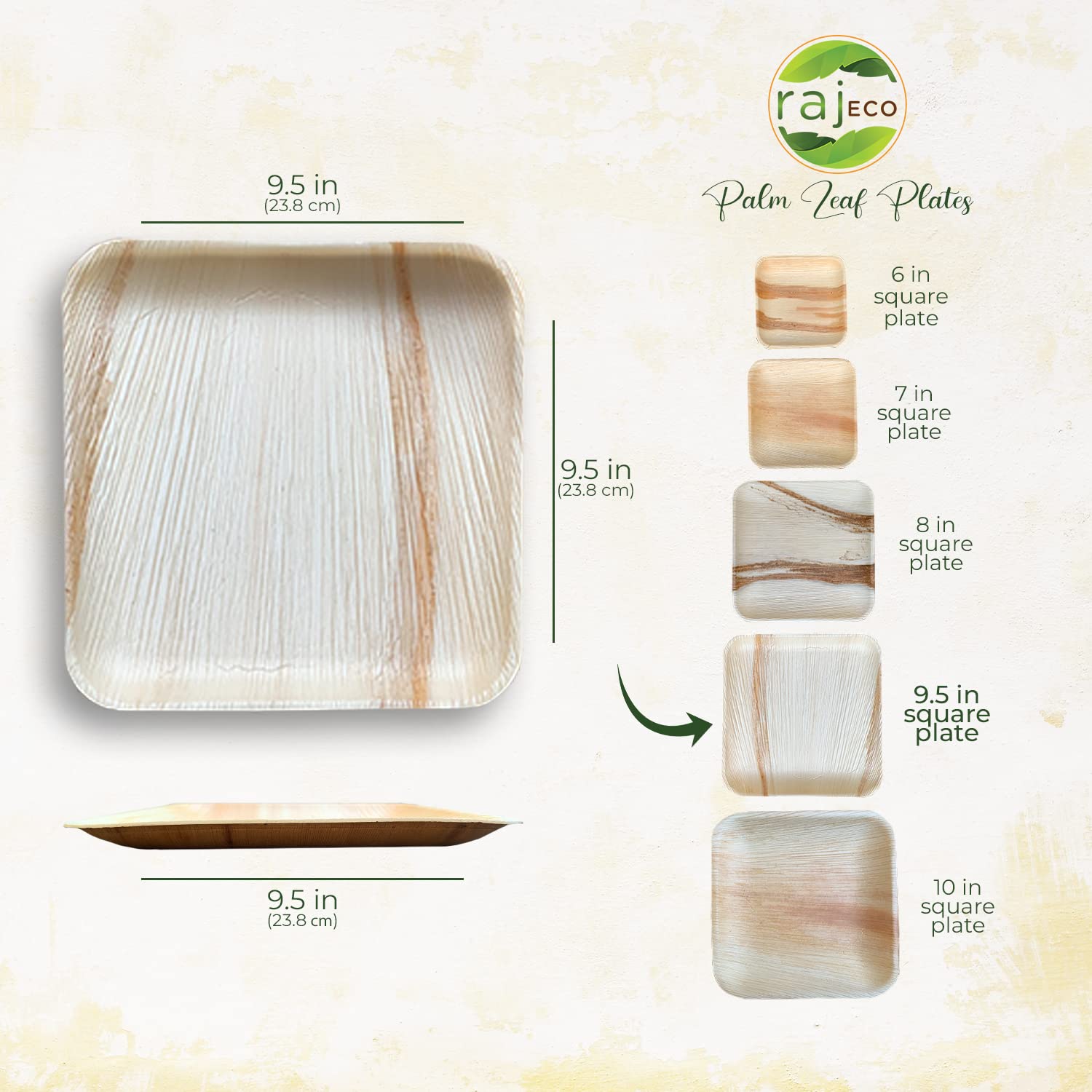 Raj Disposable Palm Leaf Plates [50-Pack] Large Square Plates Strong And Reusable Party Plates Like Bamboo Plates - Decorative C