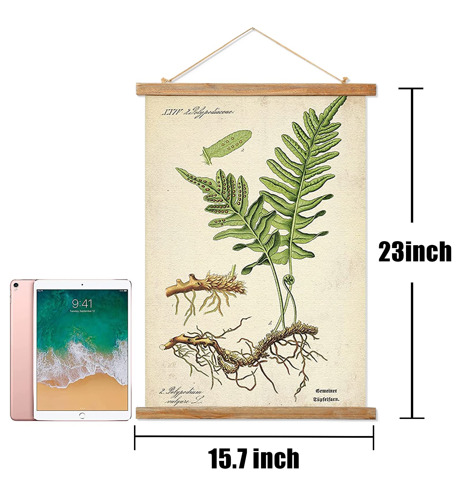 2 Pack Vintage Botanical Wall Art Prints, Printed On Linen With Natural Wooden Frames, For Living Room Office Bedroom