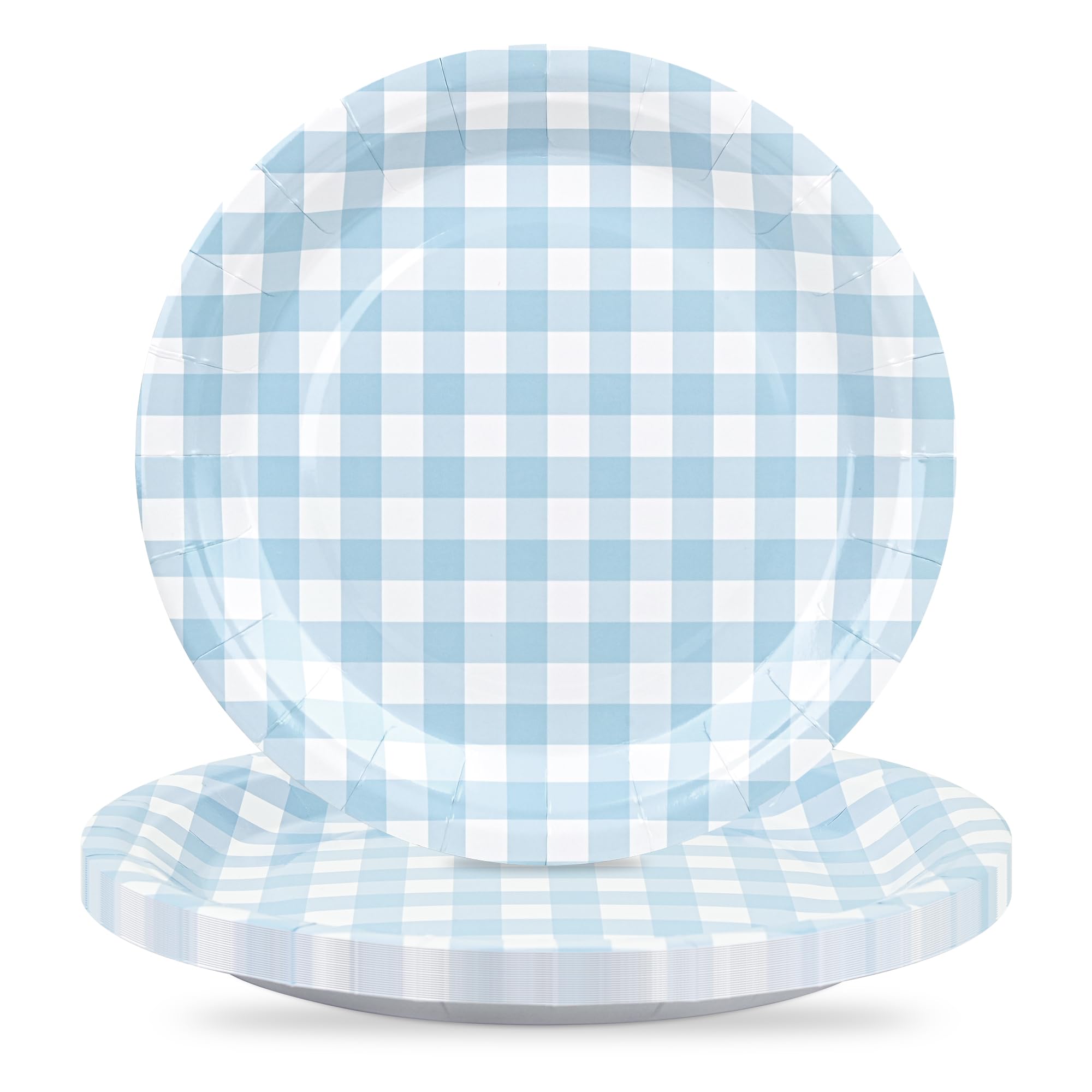 Houuqe 24Pcs Gingham Party Supplies Blue Paper Plates 9 inches Disposable Plaid Decorative Dinner Dessert Serving Plates for Bab