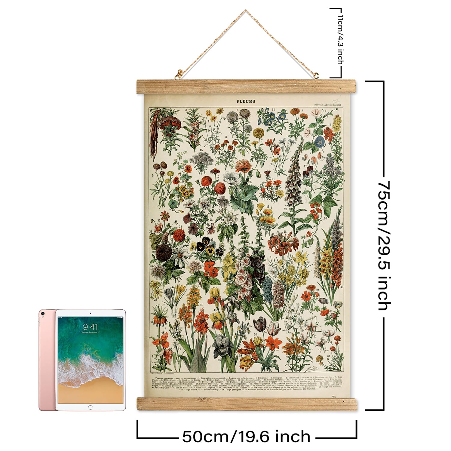 Xiaoaika Vintage Wildflower Hanging Poster With Wooden Frame, Retro Style Wall Decor Detailed Floral Illustration- Educational B