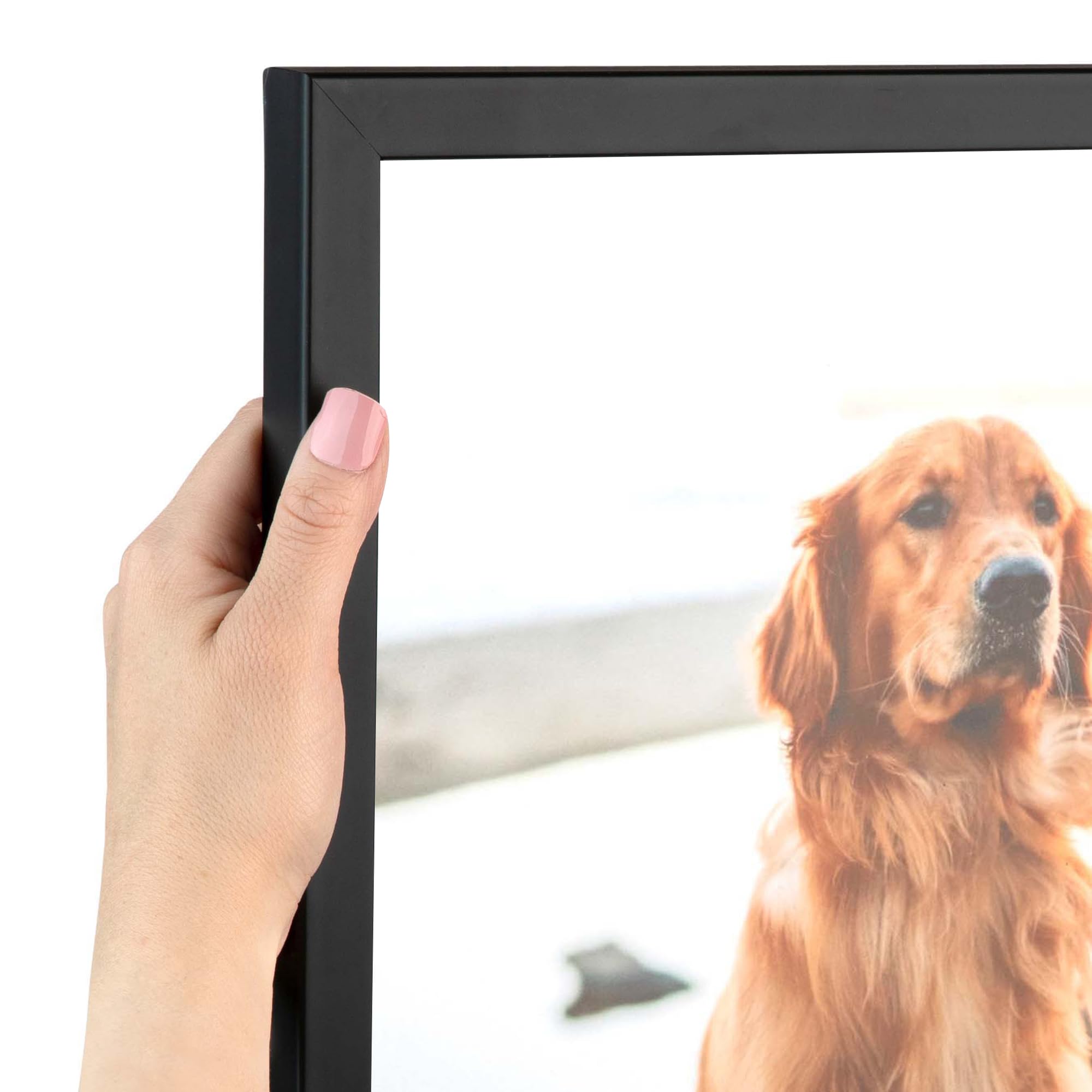 ArtToFrames 18x20 inch .75 Satin Black Stem - .5 Rabbet Wood Picture Frame, 2WOM10010-18x20
