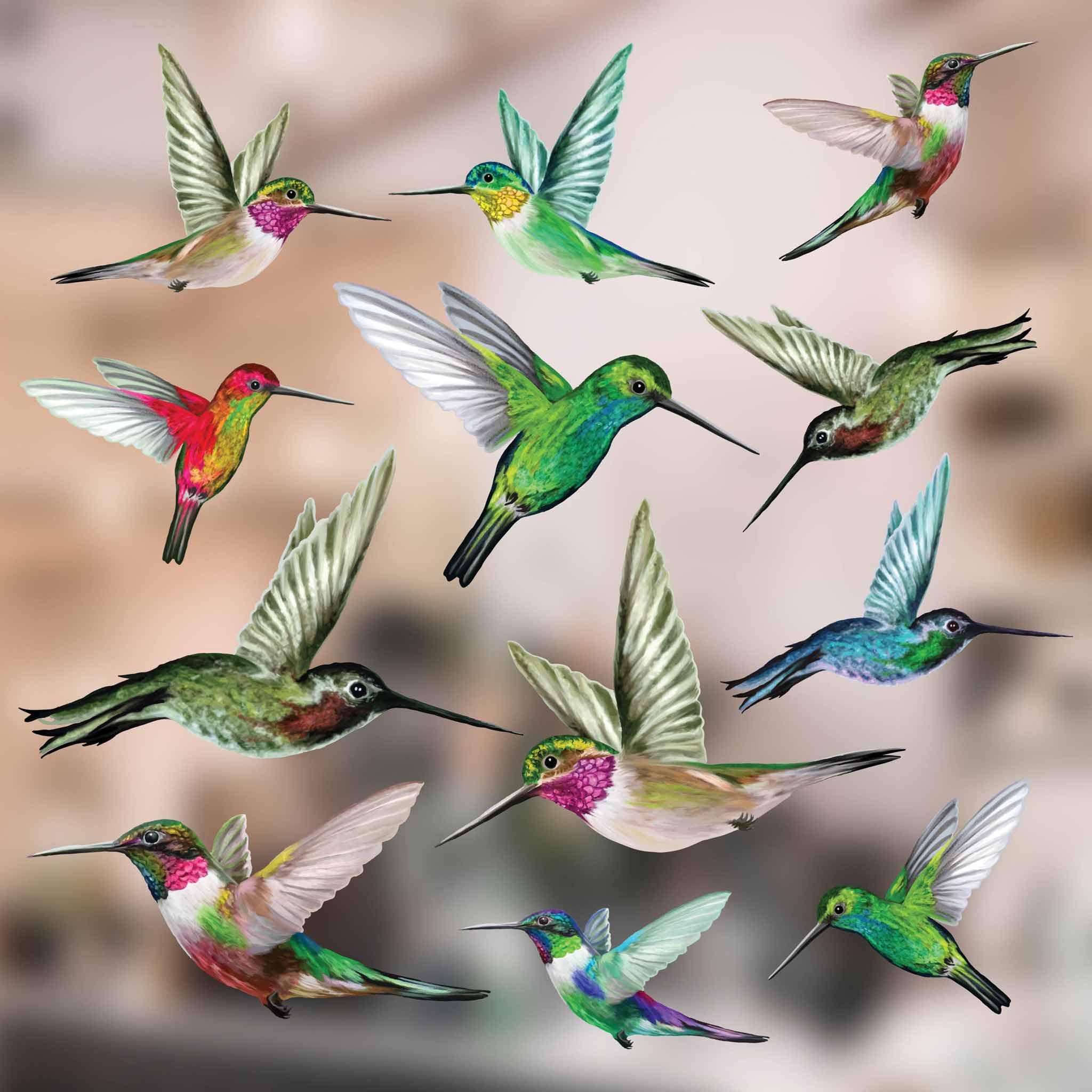 12-Pack Hummingbird Window Clings - Lifelike, Colourful Decals to Prevent Bird Strikes -Double-Sided for Bird Window Strike Prev