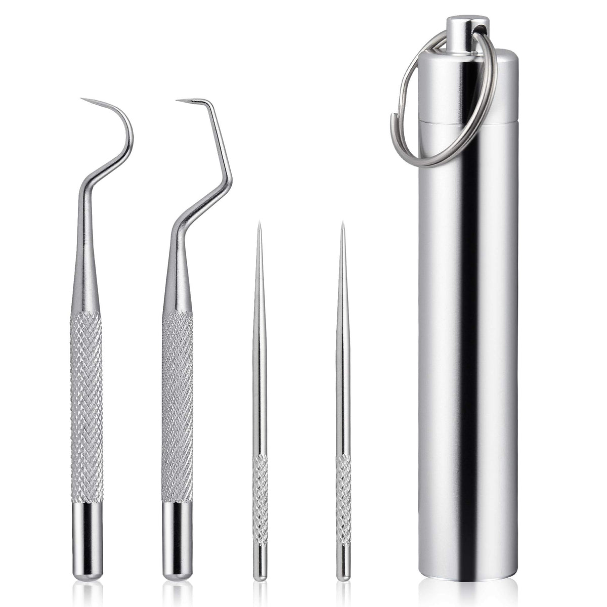 Worldity 5Pcs Reusable Toothpick, Portable Metal Toothpick, Professional Teeth Cleaning Tools, Dental Picks With Toothpick Holde
