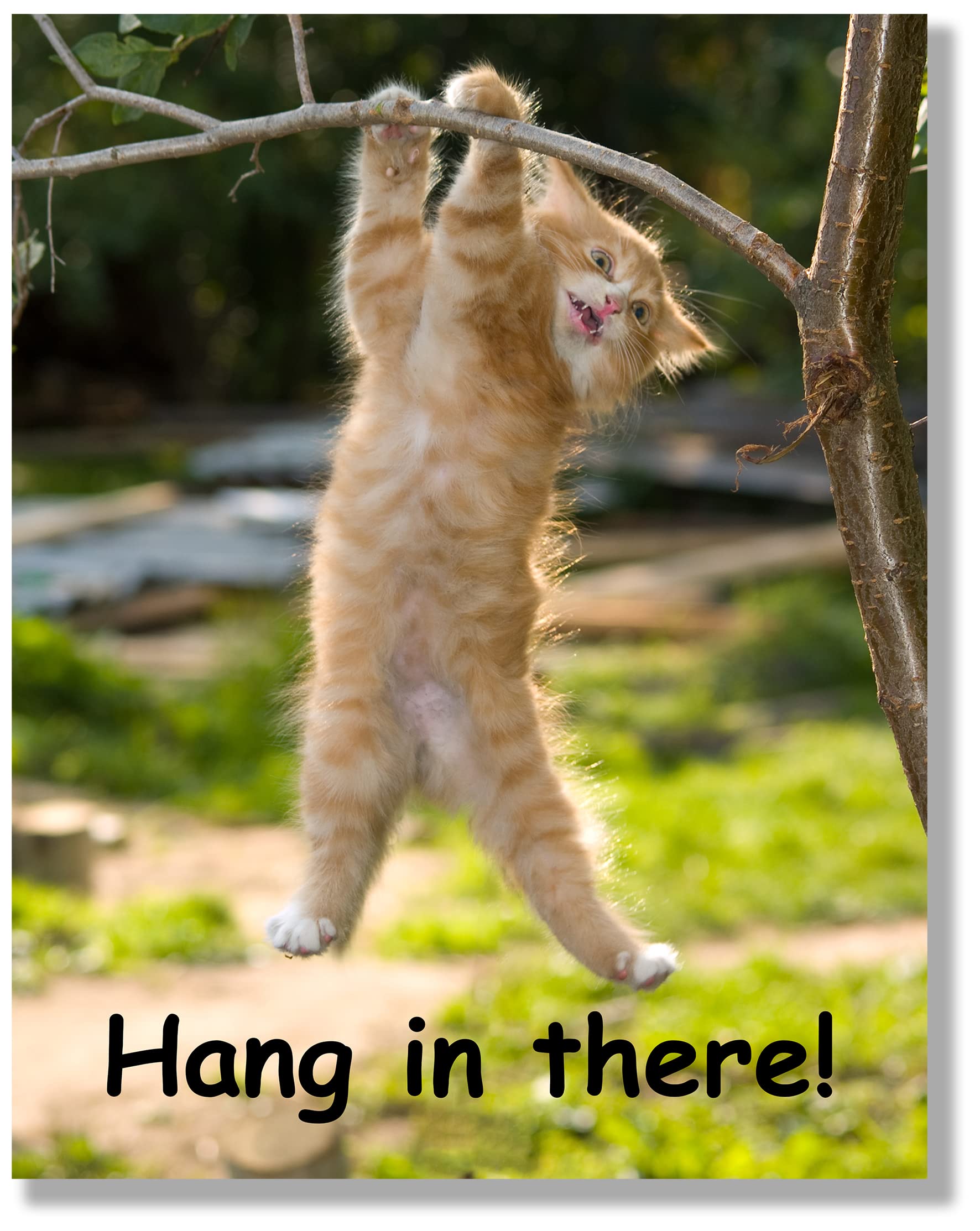 Hang In There Cat Poster - Printed On Premium Cardstock Paper - Sized 11 X 14 Inch - Perfect Funny Motivational Poster For Home