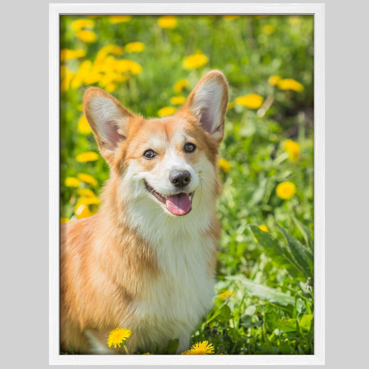 Nwt Custom Framed Poster Prints With Your Any Photos, Personalized Canvas Pictures For Wall To Print Framed - 12''X16'' White