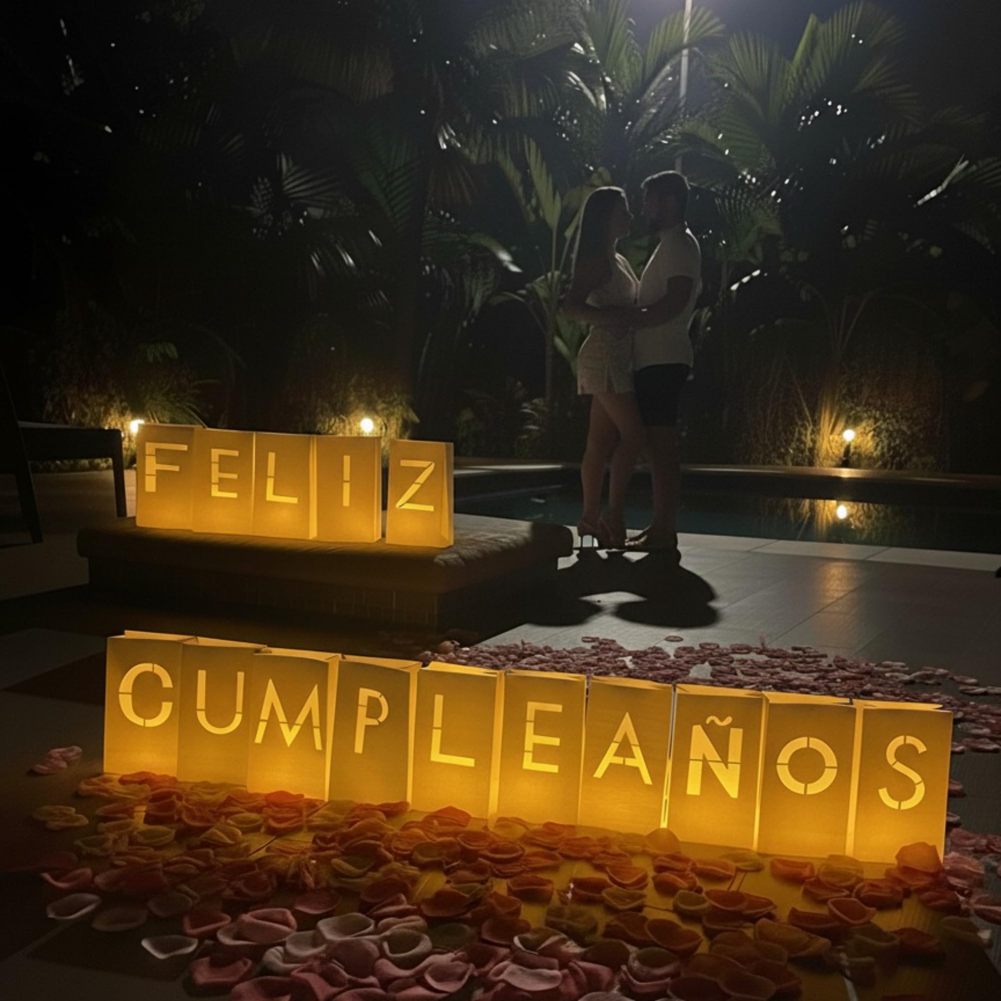 WYMM Feliz Cumpleaos Happy Birthday Light Up Letters in Spanish - Luminary Bags Happy Birthday Decorations with Tea Lights Candl