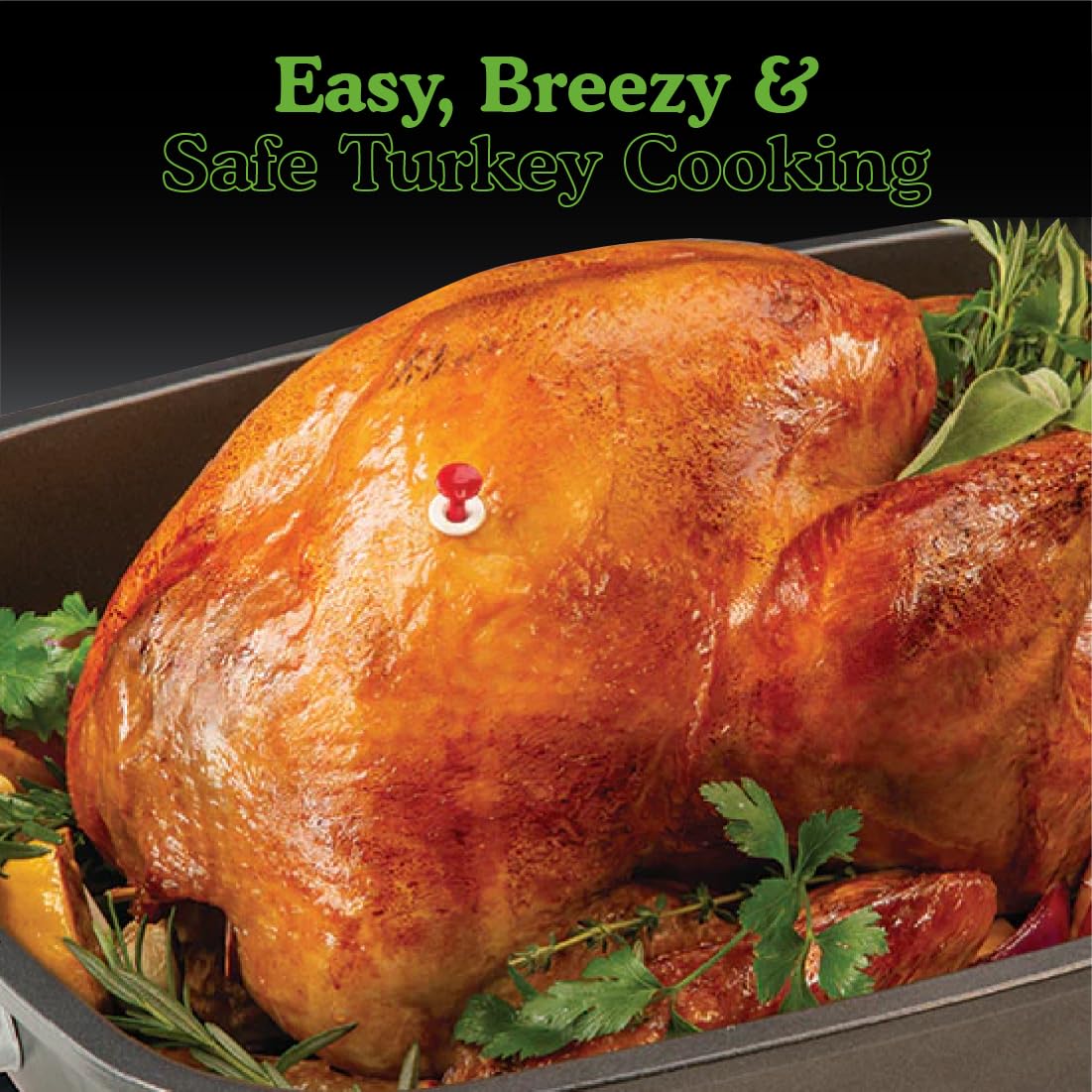Regency Wraps Disposable Cooking Thermometer for Turkey  Red-Button Automatically Pops-Up When Turkey Reaches 180  Oven  Microwave & Air Fryer Safe  Pack of 2