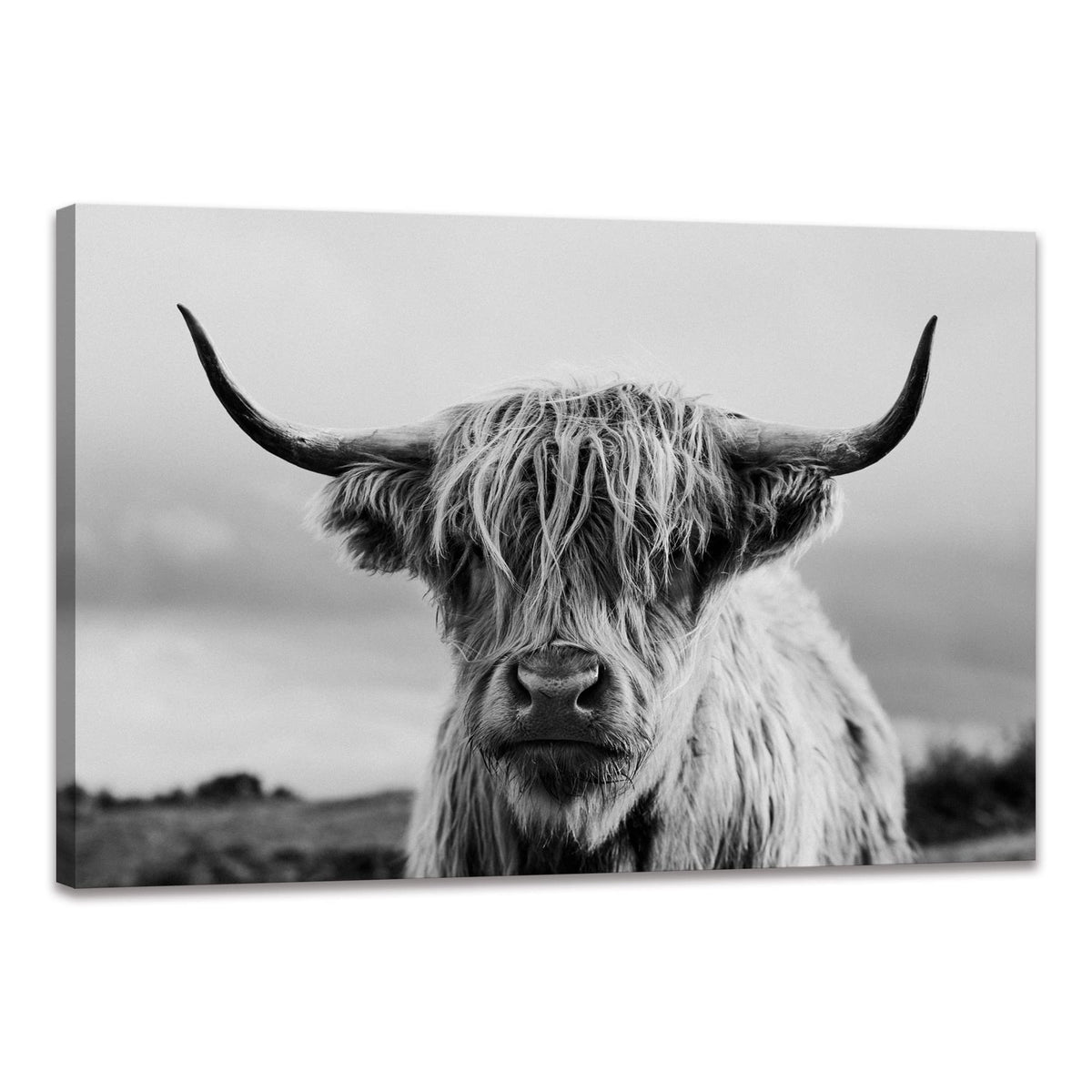 Highland Cow Wall Art Canvas Print Black And White Animal Canvas Picture Framed Art Wall Decor For Bedroom Bathroom (12X16 Inch)