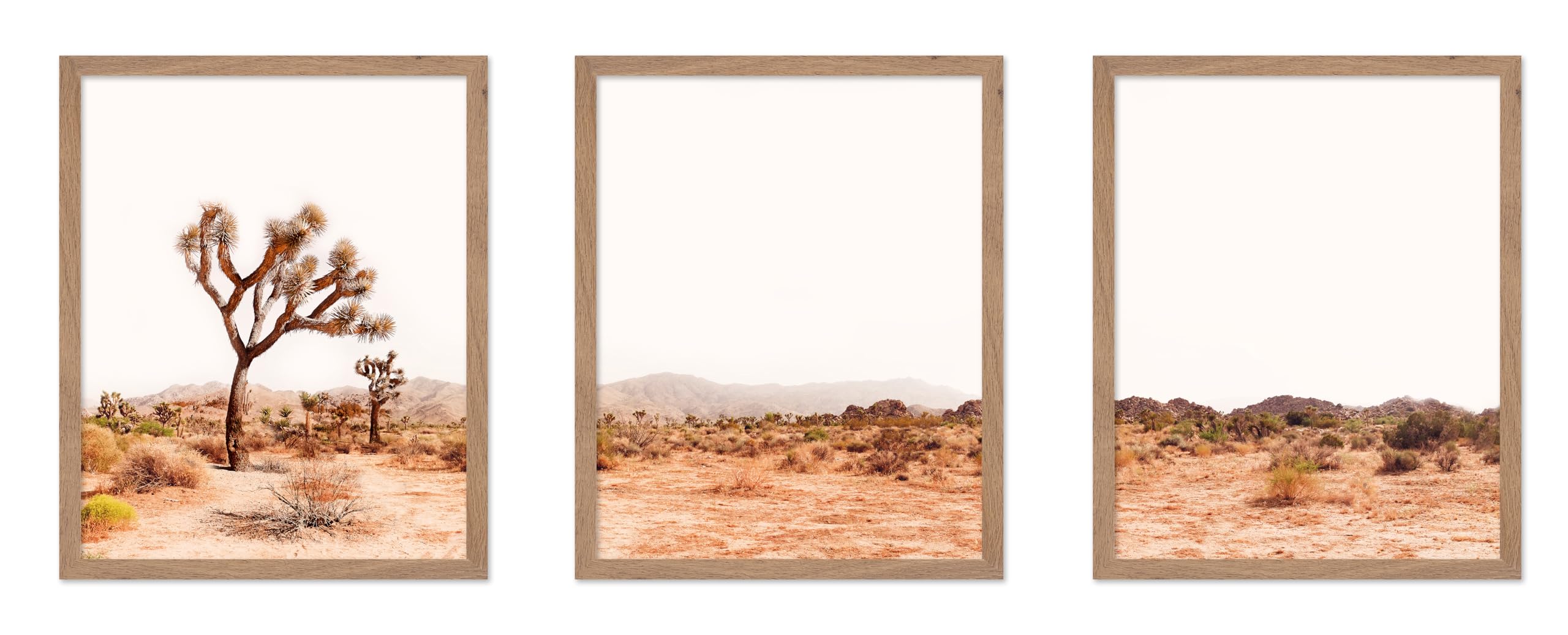 Poster Master 3-Piece Vintage Travel Poster - Retro Boho Print - Gift for Artist, Friend - Joshua Tree National Park, Desert, Ro