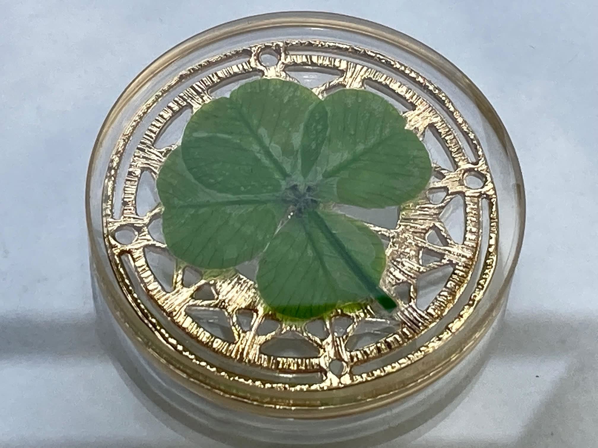Real Four Leaf Clover Good Luck Pocket Token, Preserved, 1.25   , Including Metal Ornament (Magic Circle of The Moon)