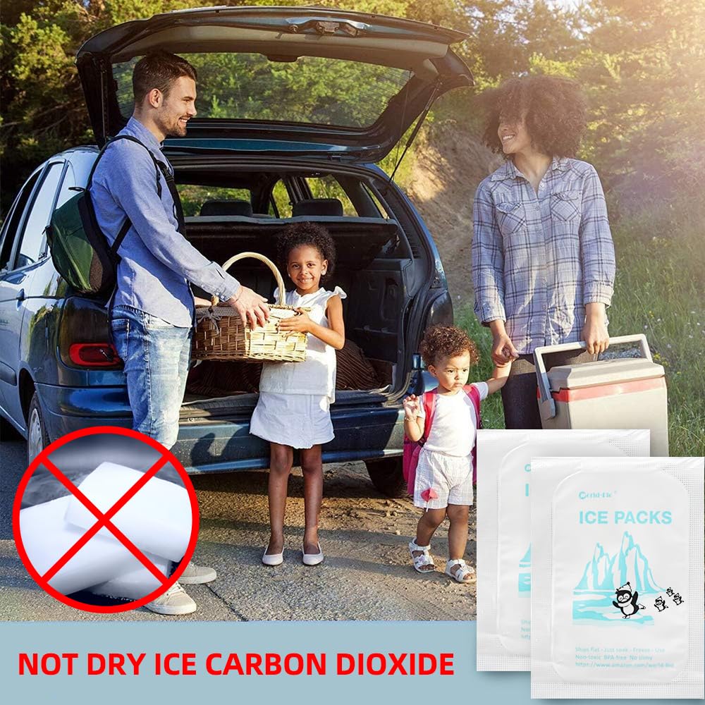 Shipping Ice Packs Reusable Small Dry Ice Pack Sheets 48 Packs, Ice Pack For Shipping Frozen Food Keep Food Fresh Beverage Cold,