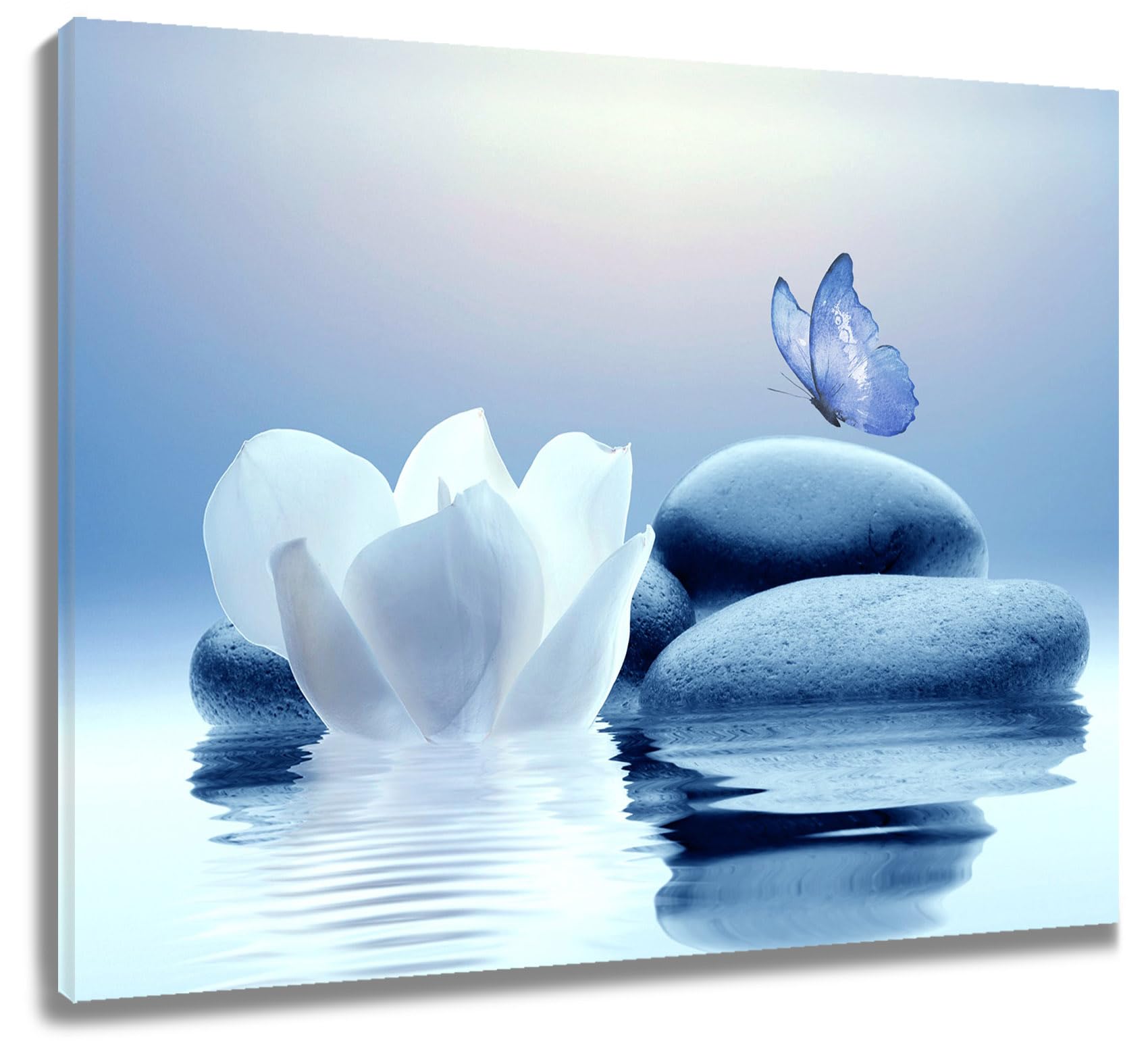 Eobtain Zen White Flower Canvas Wall Art Floral And Blue Butterfly On Stone Modern Framed Picture Yoga Spa Spiritual Painting Ar