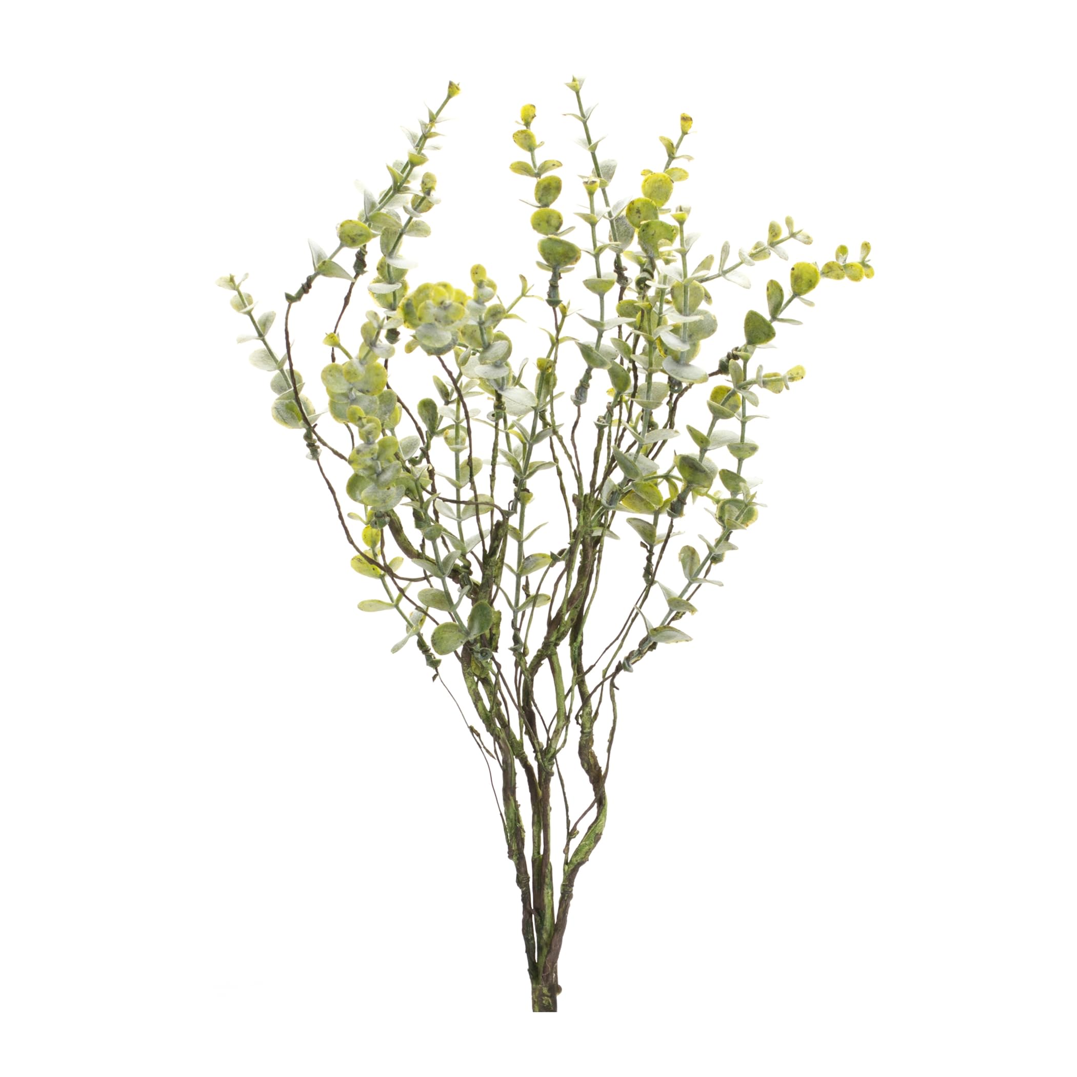 Melrose Set of 6 Plastic Boxwood Spray with Green Finish 85828DS