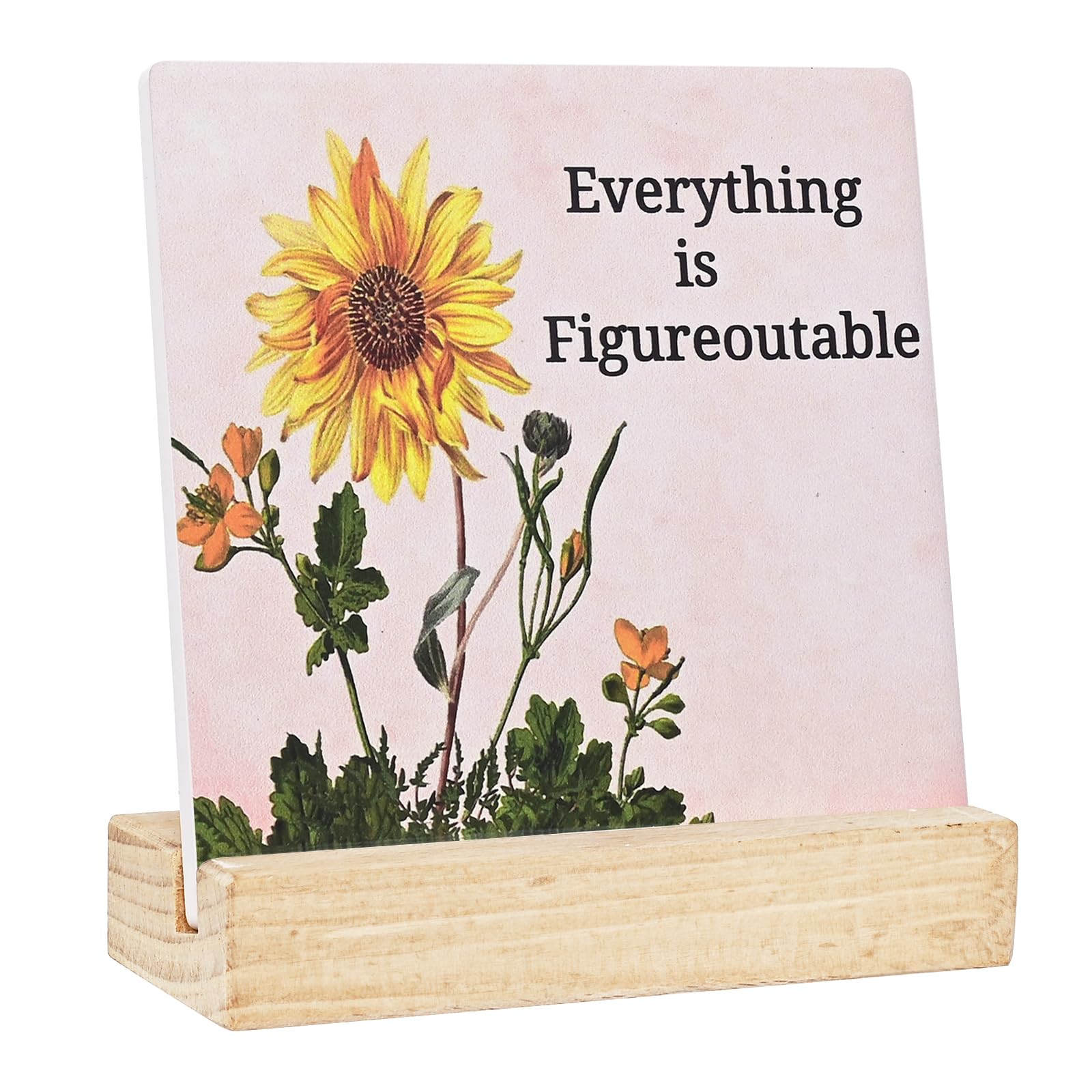 Office Decor Accessories Motivational Desk Decorations Cute Desk Accessories Inspirational Gifts for Women Friend Coworker Emplo