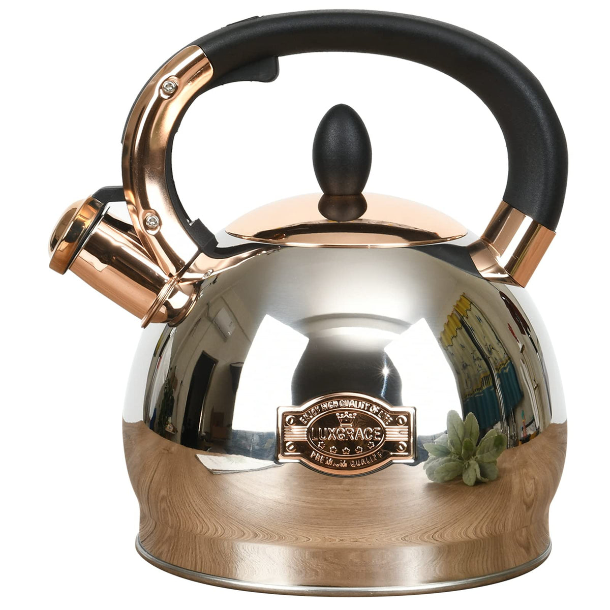 Stainless Steel Whistling Tea Kettle With Metal Capsulated Bottom For Quick Heat Distribution 2.8 Quart
