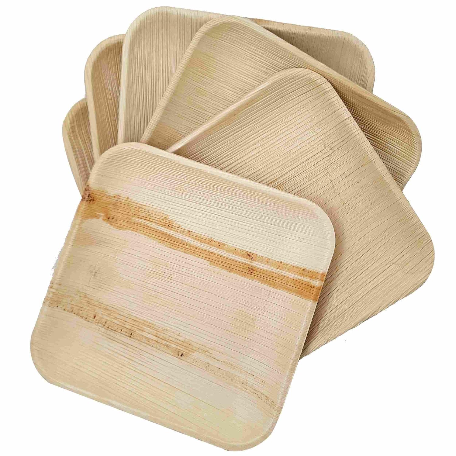 Dtocs Bamboo Plate Disposable Like 8 Inch Square Palm Leaf Plate (50) | Elegant  Sturdy  Compostable Dessert  Cake  Appetizer  Mini Dinner Plate Alternate to Party Plastic  Wooden  8'' Paper Plates